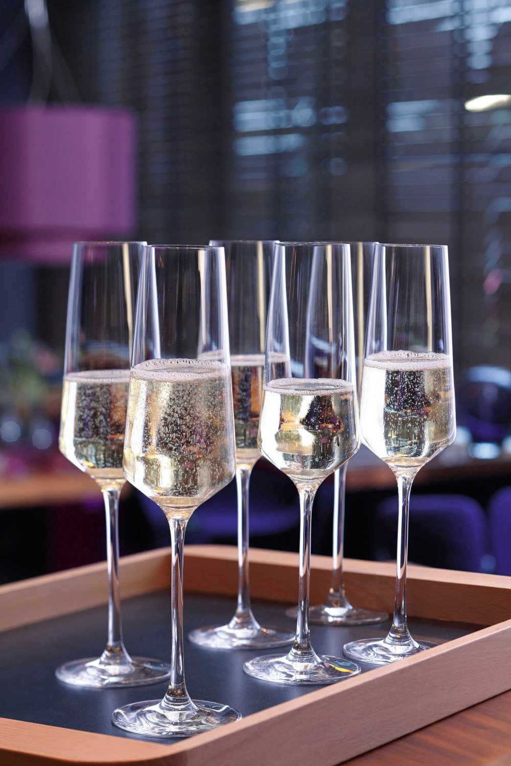 LEONARDO Champagneglas Puccini 280 ml(set, 6-delig)