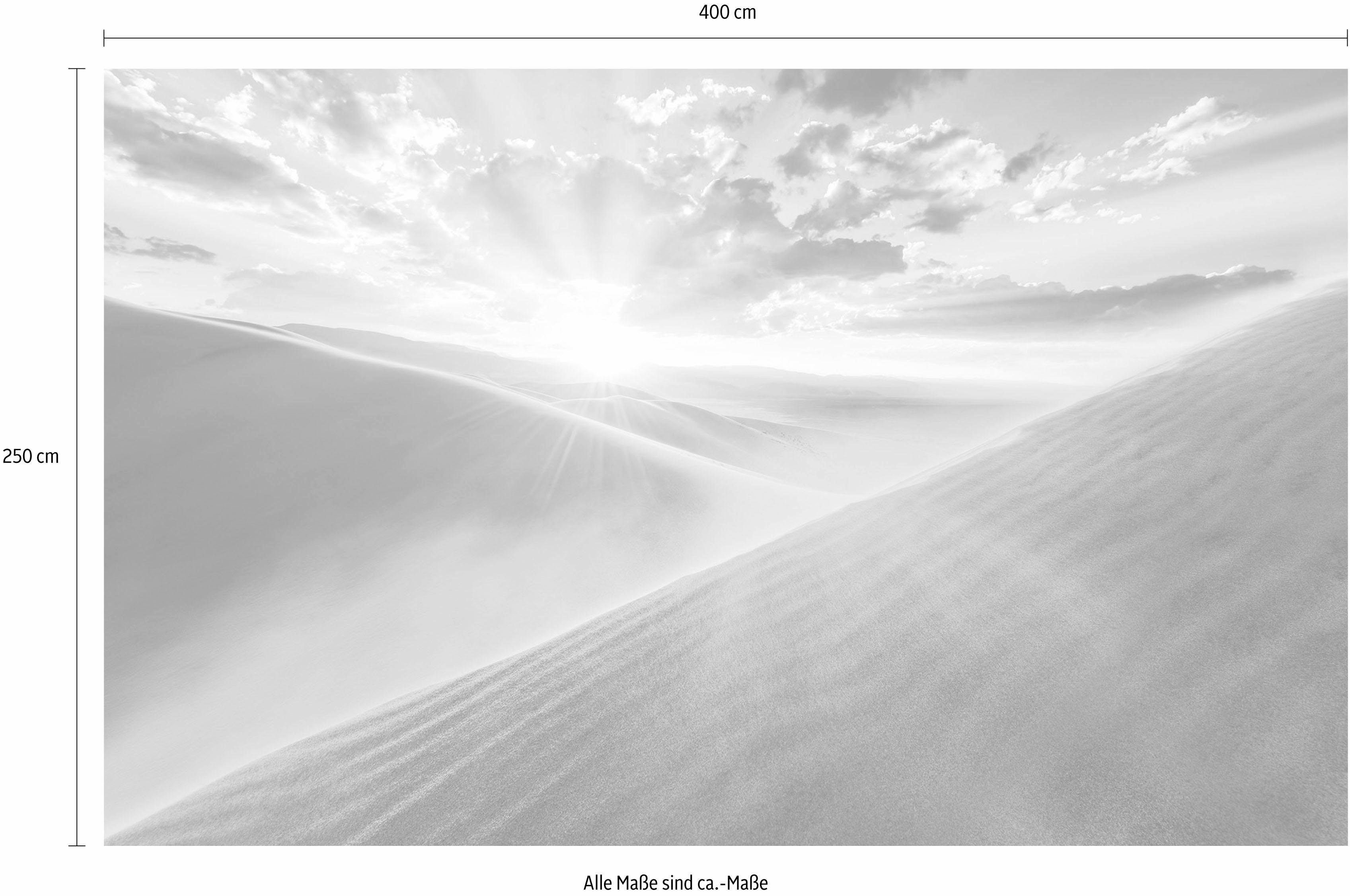 Komar Vliesbehang Digitale print vlies - Gently Touched - Afmeting 400 x 250 cm (1 stuk)