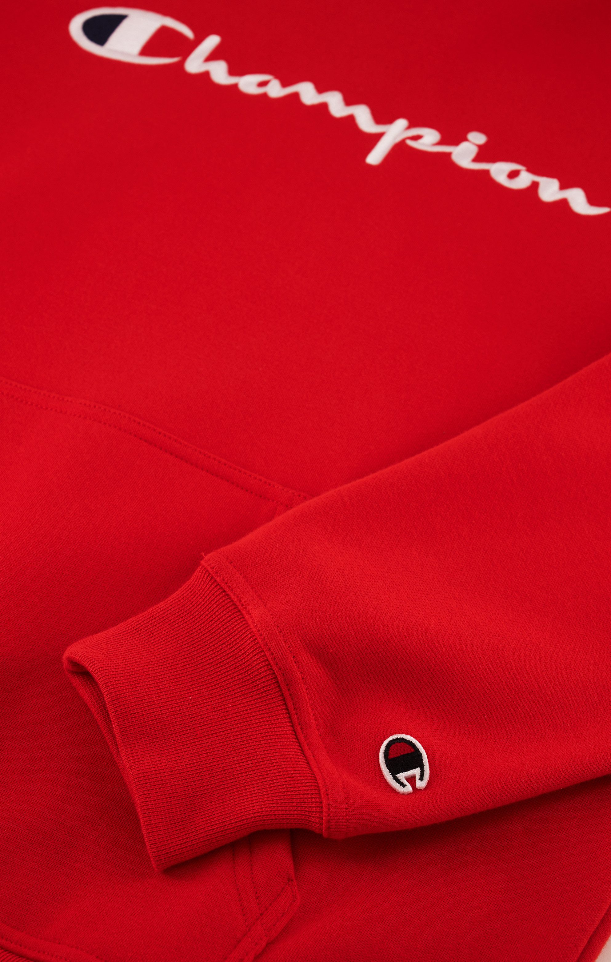 Champion Hoodie HOODED sweatshirt