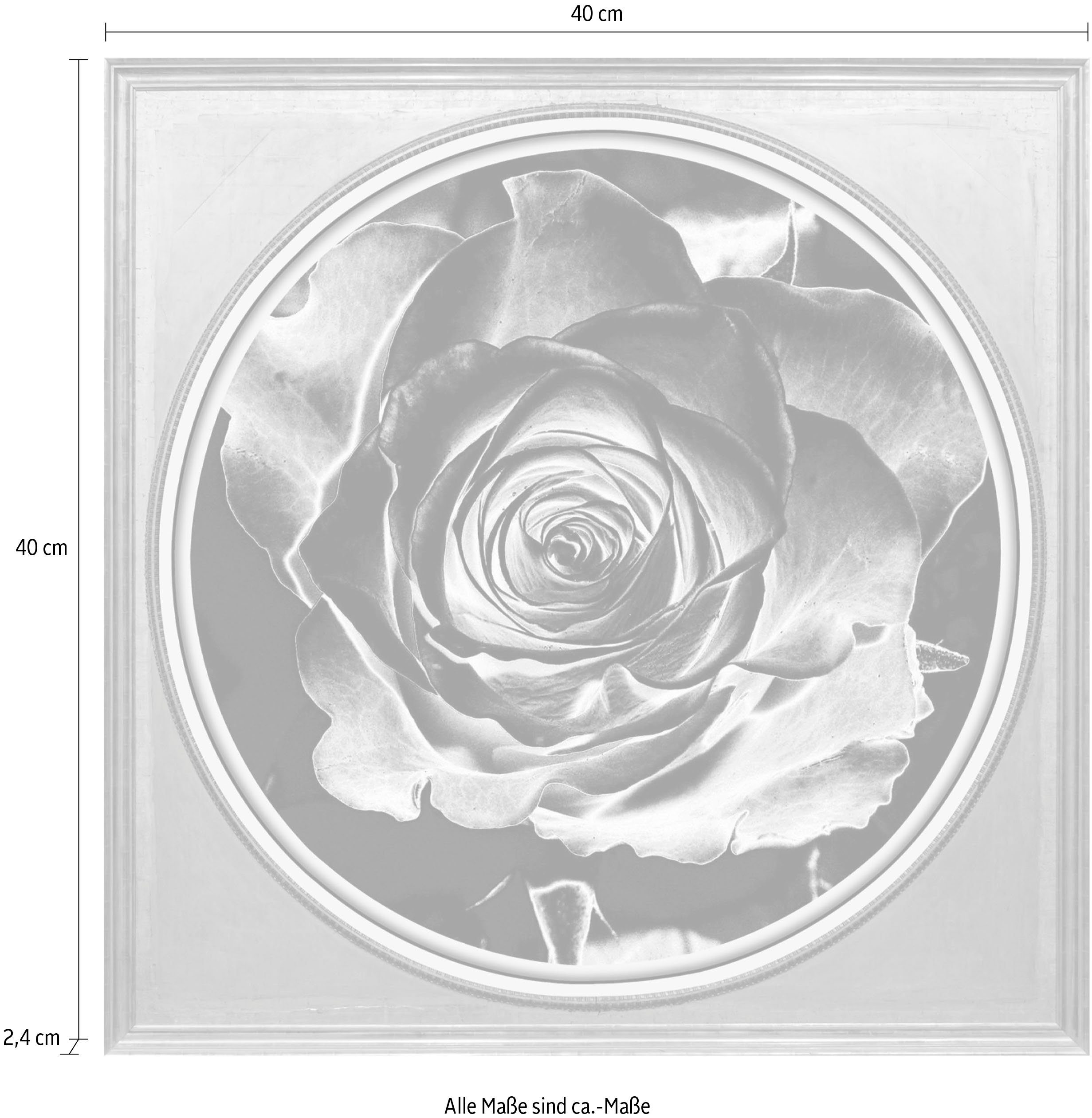queence Artprint op acrylglas Rosé Fine Art-print in galeriekwaliteit