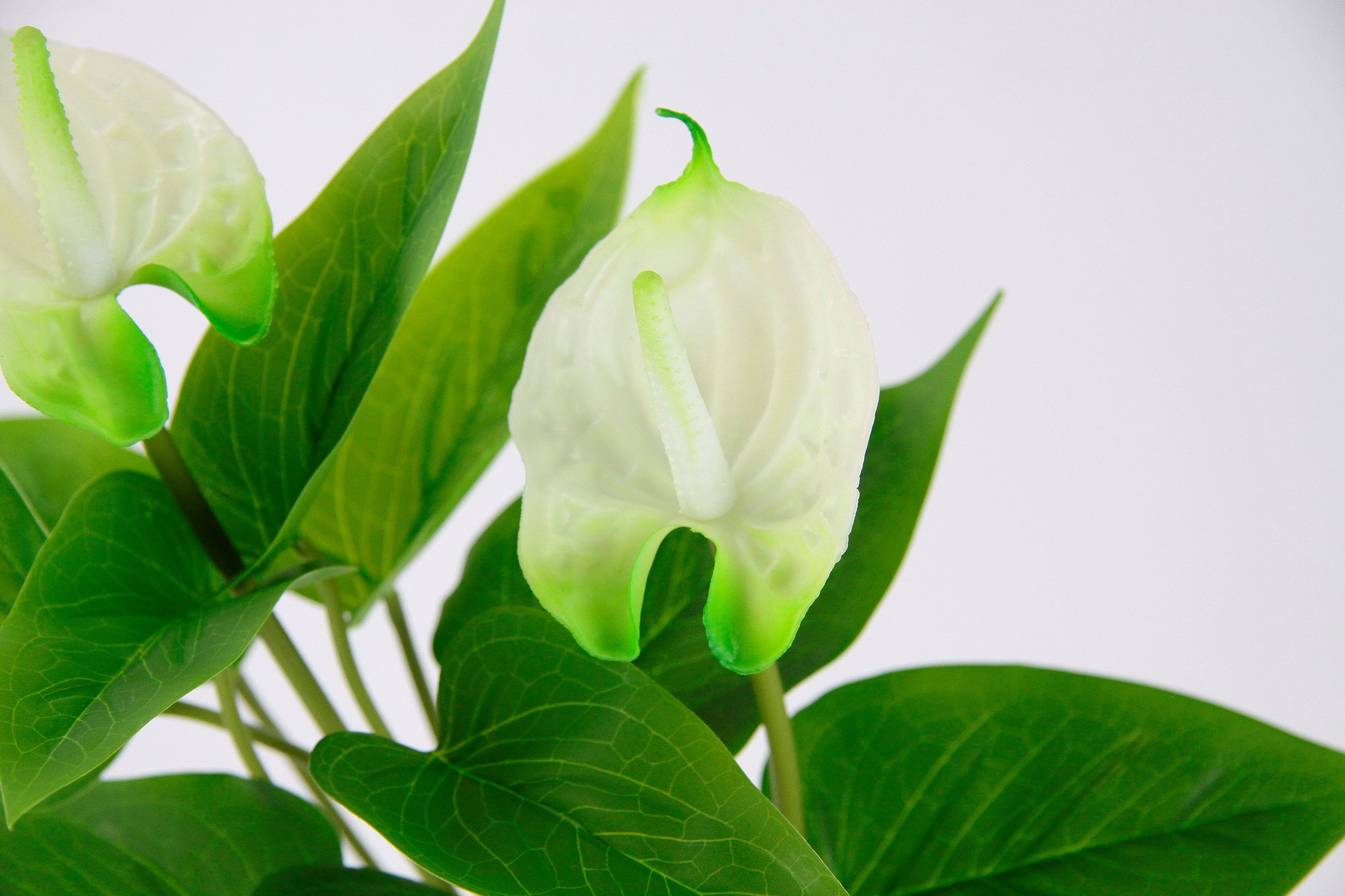 I.GE.A. Kunstbloem Anthuriumplant Anthurium plant in pot, exotische flamingo plant