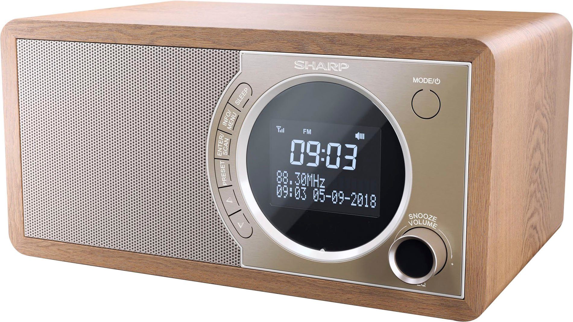 Sharp Digitale radio DAB DR-450