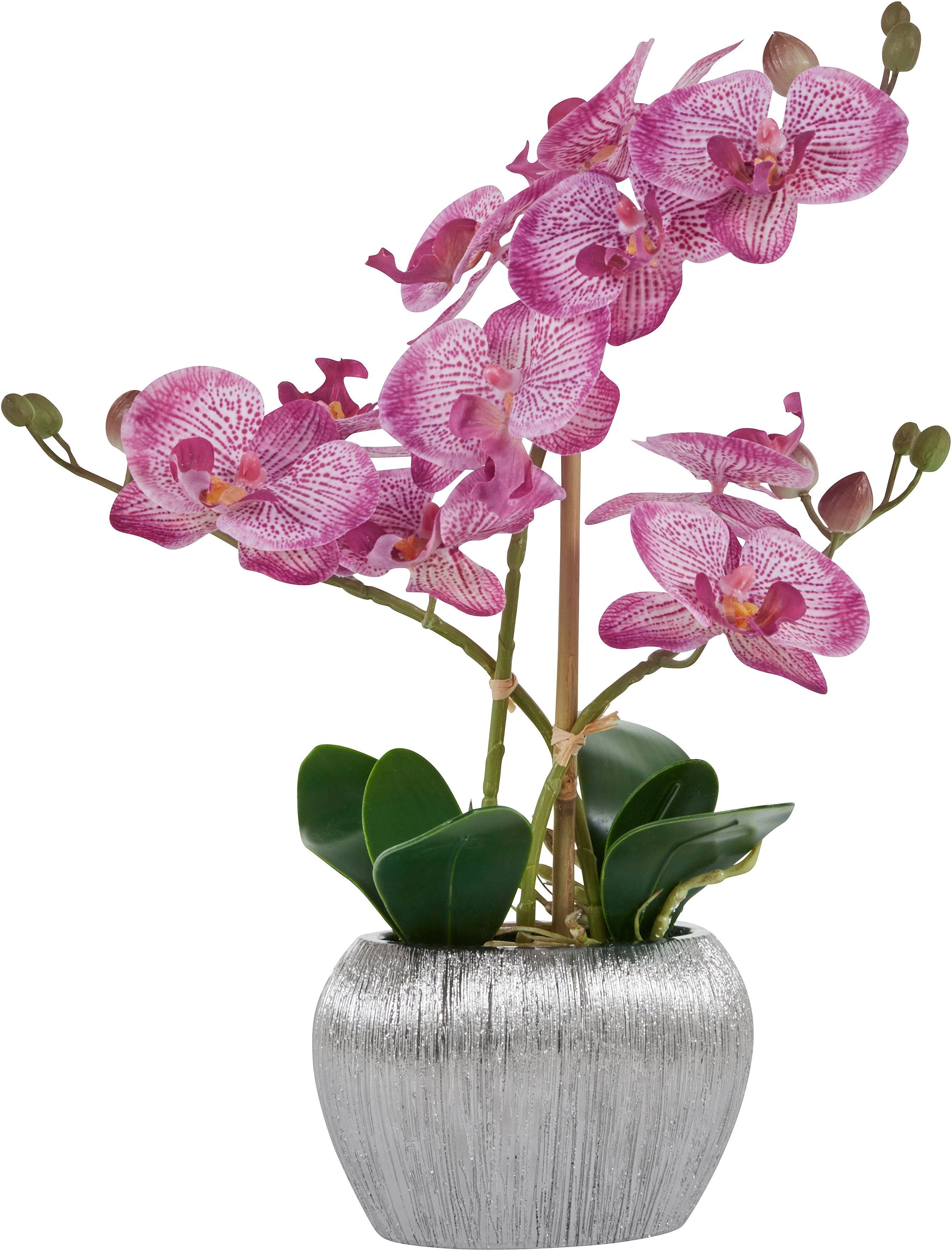 Home affaire Kunstplant Orchidee Kunstorchidee, in een pot (1 stuk)