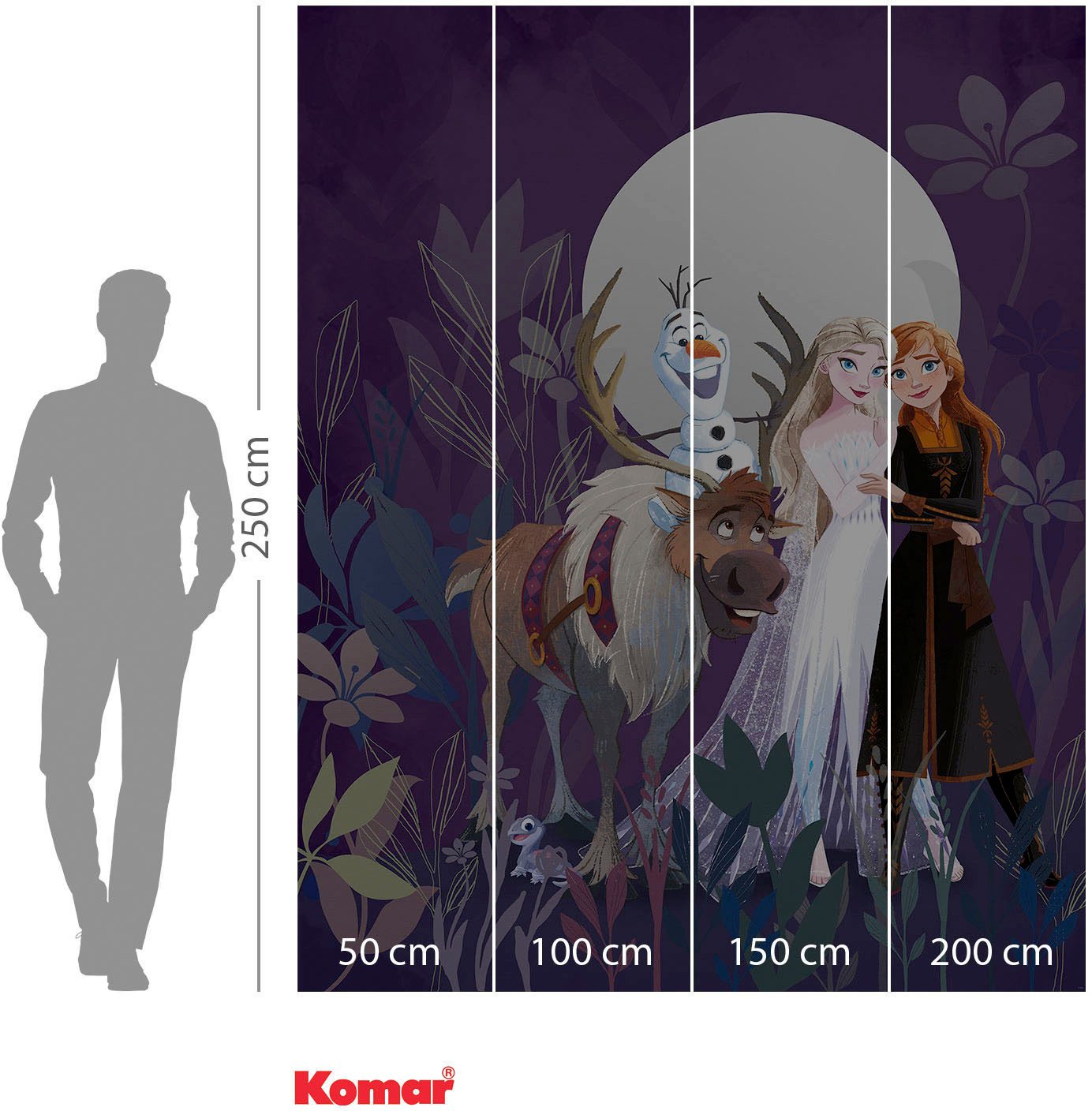 Komar Fotobehang Digitale print vlies - Frozen Full Moon Hike - Afmeting 200 x 250 cm (1 stuk)