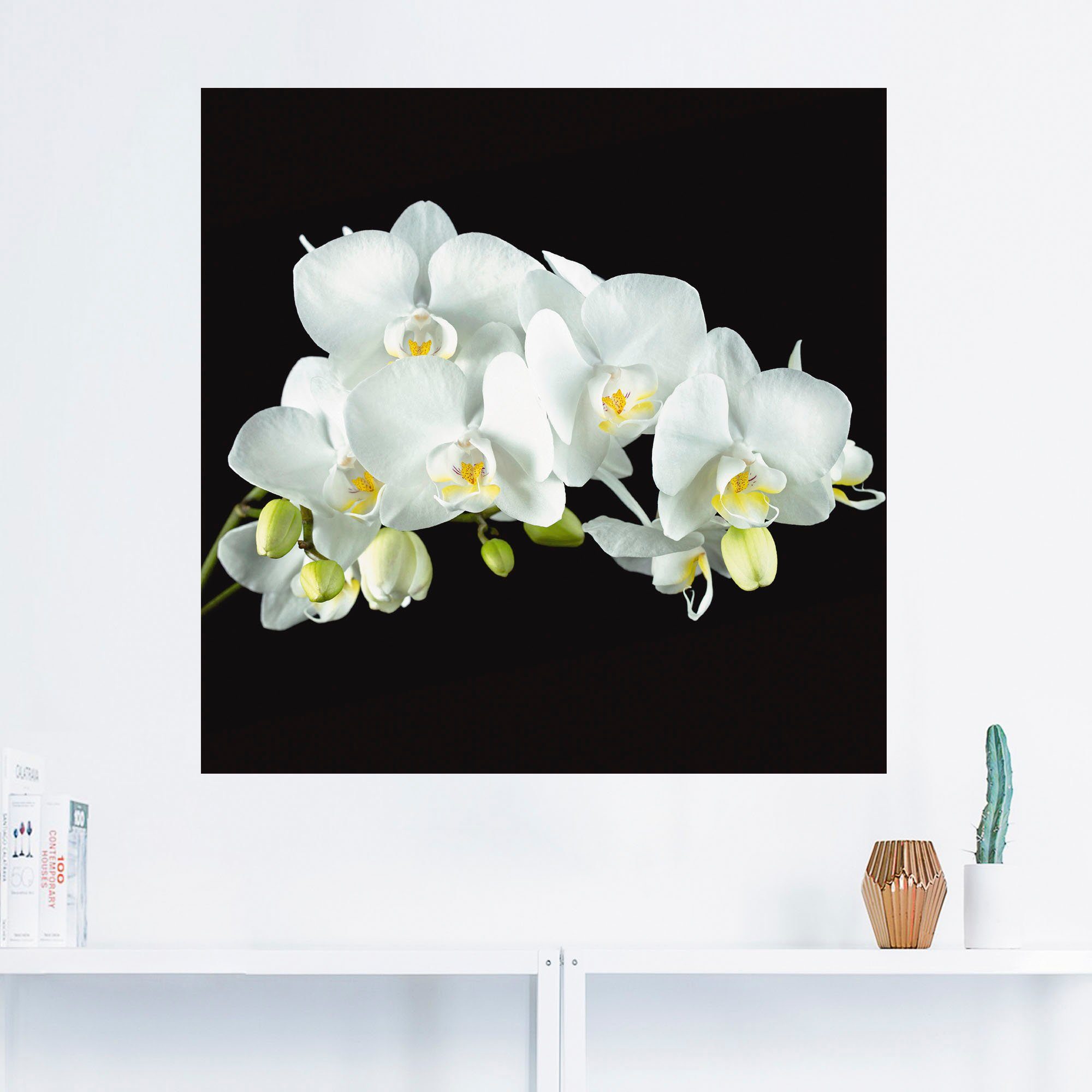 Artland Artprint Witte orchidee op een zwarte achtergrond in vele afmetingen & productsoorten - artprint van aluminium / artprint voor buiten, artprint op linnen, poster, muurstick