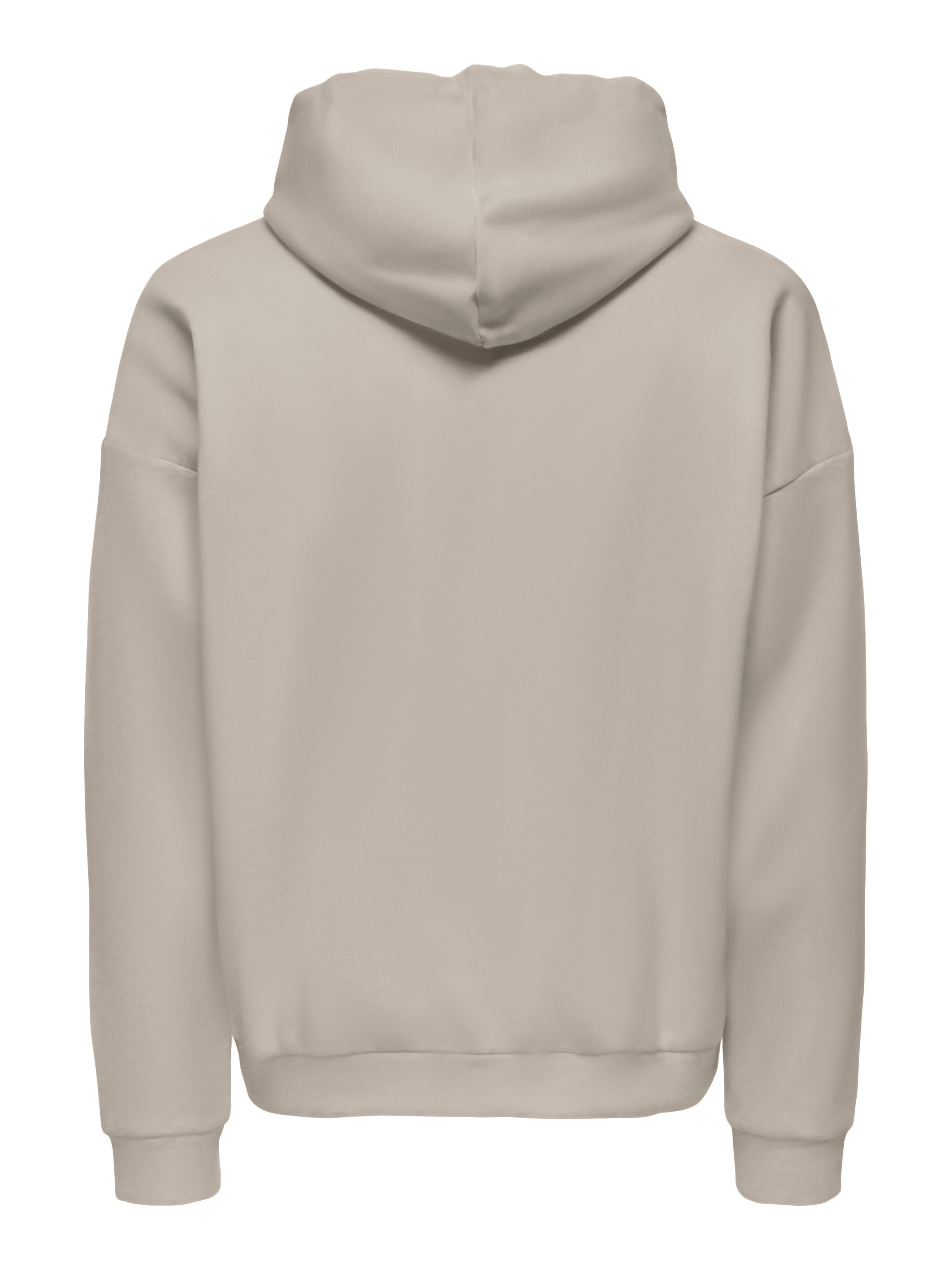 ONLY & SONS Hoodie ONSCHASE REG ZIP HOOD OTL