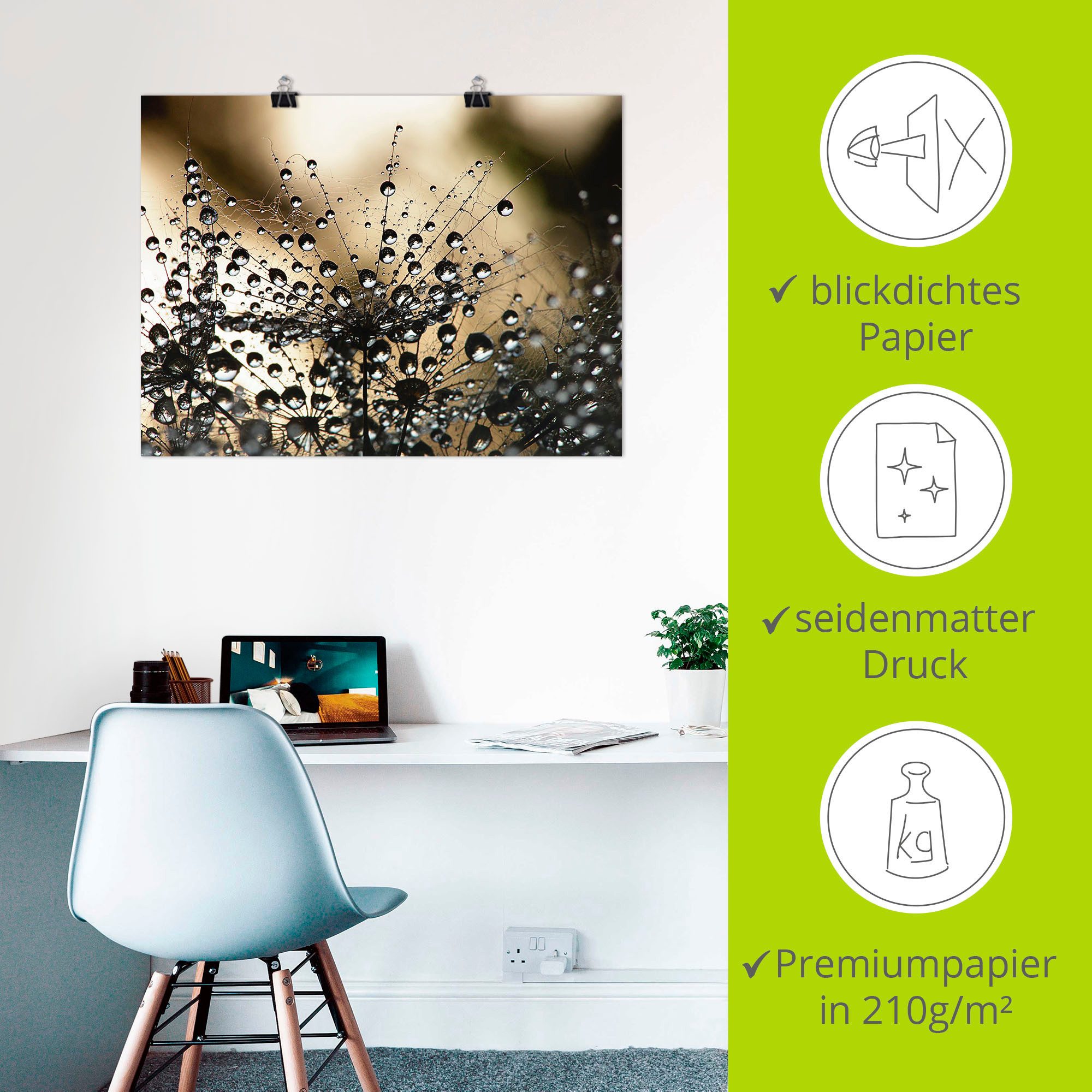 Artland Artprint Natte paardenbloem als artprint van aluminium, artprint voor buiten, artprint op linnen, poster, muursticker