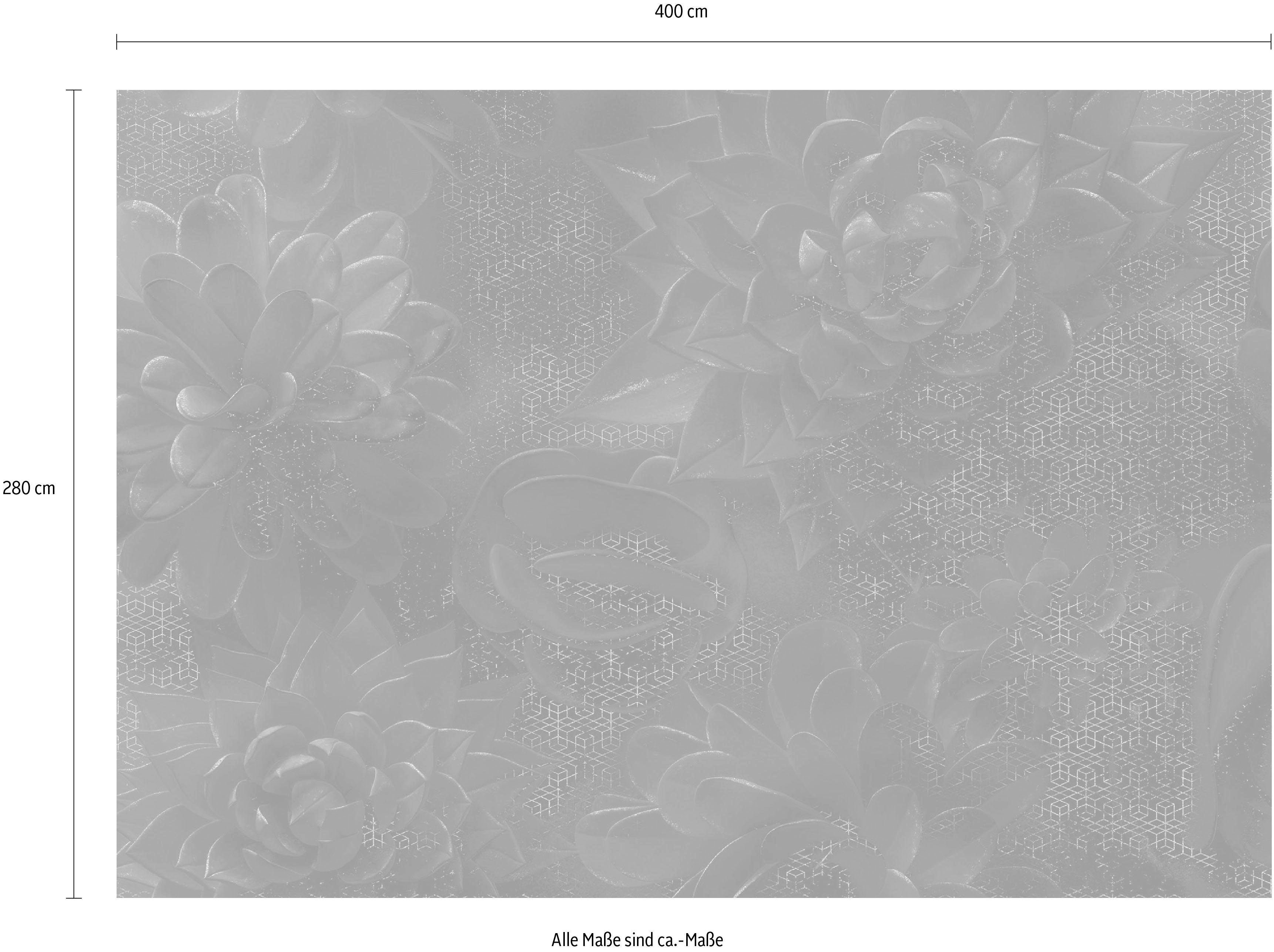 Komar Vliesbehang Digitale print vlies - Ombres - Afmeting 400 x 280 cm