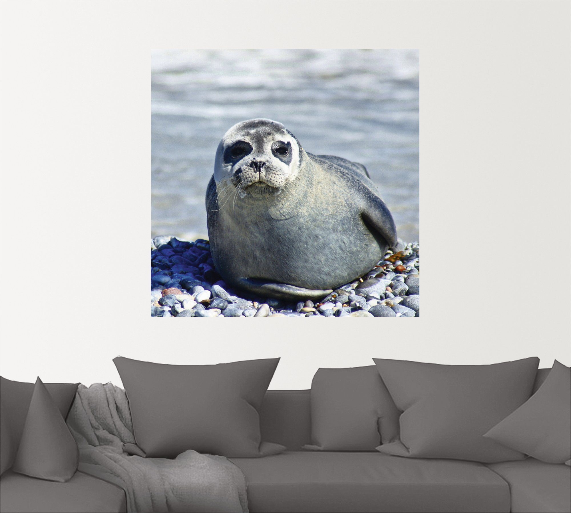 Artland Artprint Rob op het strand van Helgoland als muursticker in verschillende maten
