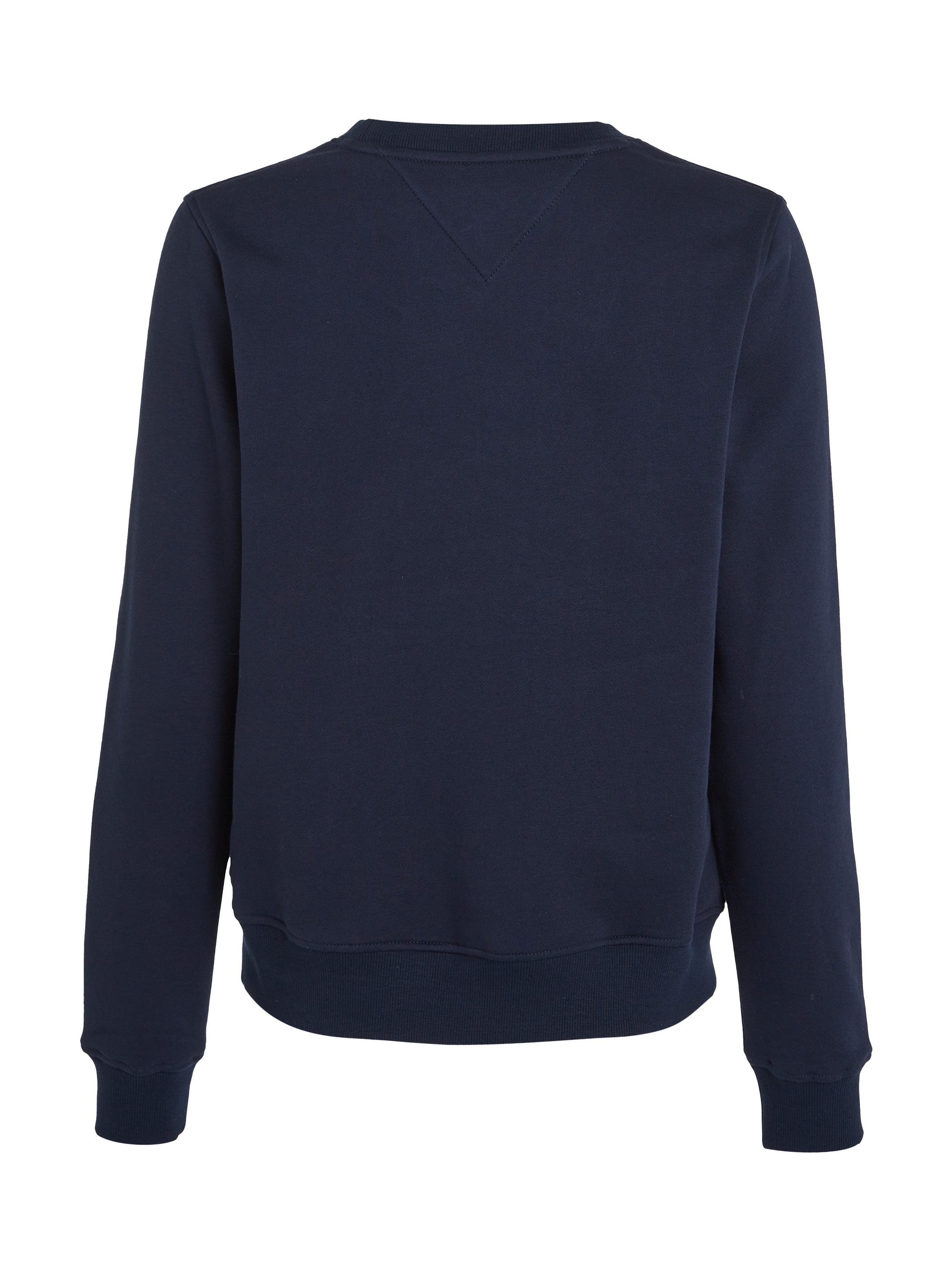Tommy Jeans Curve Sweatshirt TJW REG LINEAR CREW EXT in grote maten met logo-opschrift