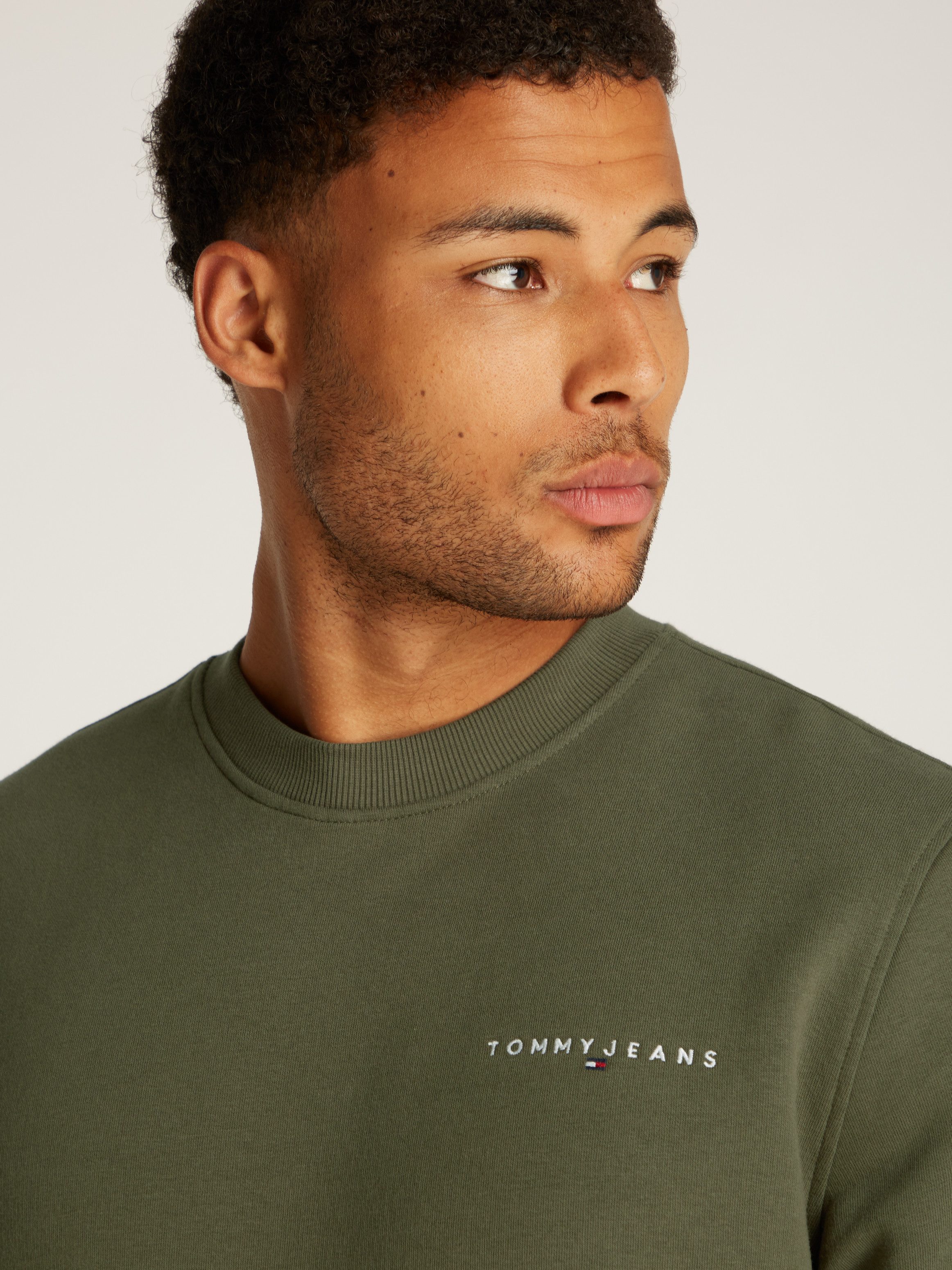 TOMMY JEANS Sweatshirt TJM REG LINEAR CREW EXT