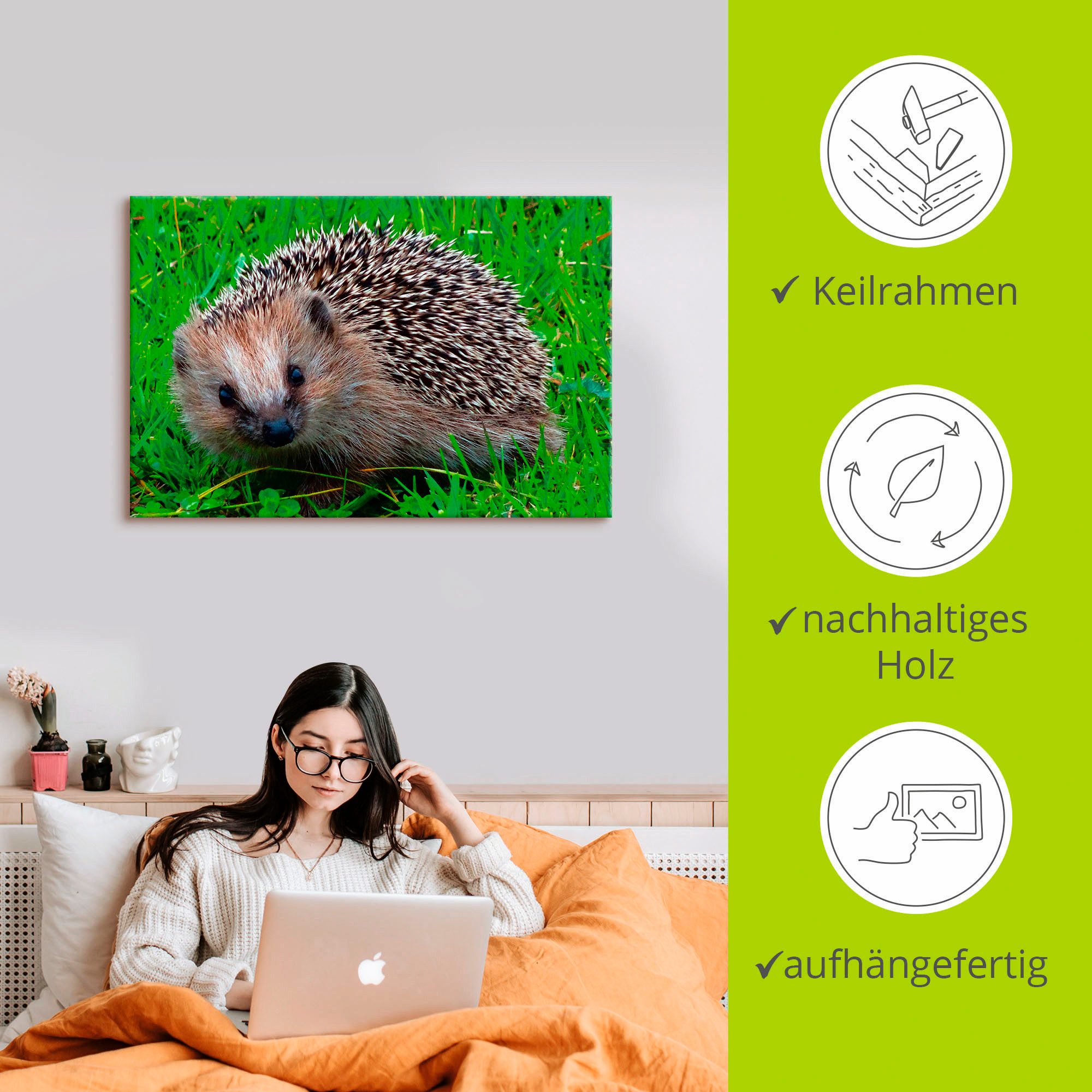 Artland Artprint op linnen Egel blik gespannen op een spieraam
