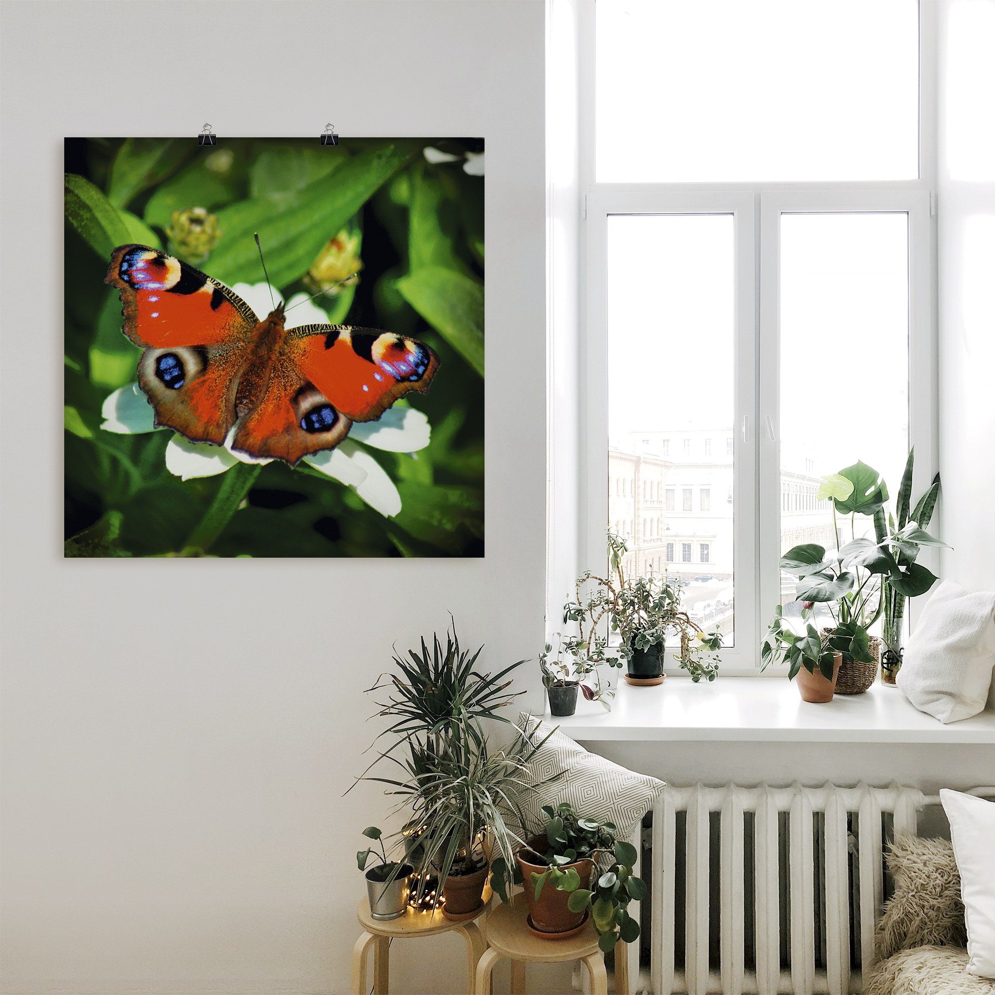 Artland Artprint Dagpauwoog als artprint op linnen, poster in verschillende formaten maten