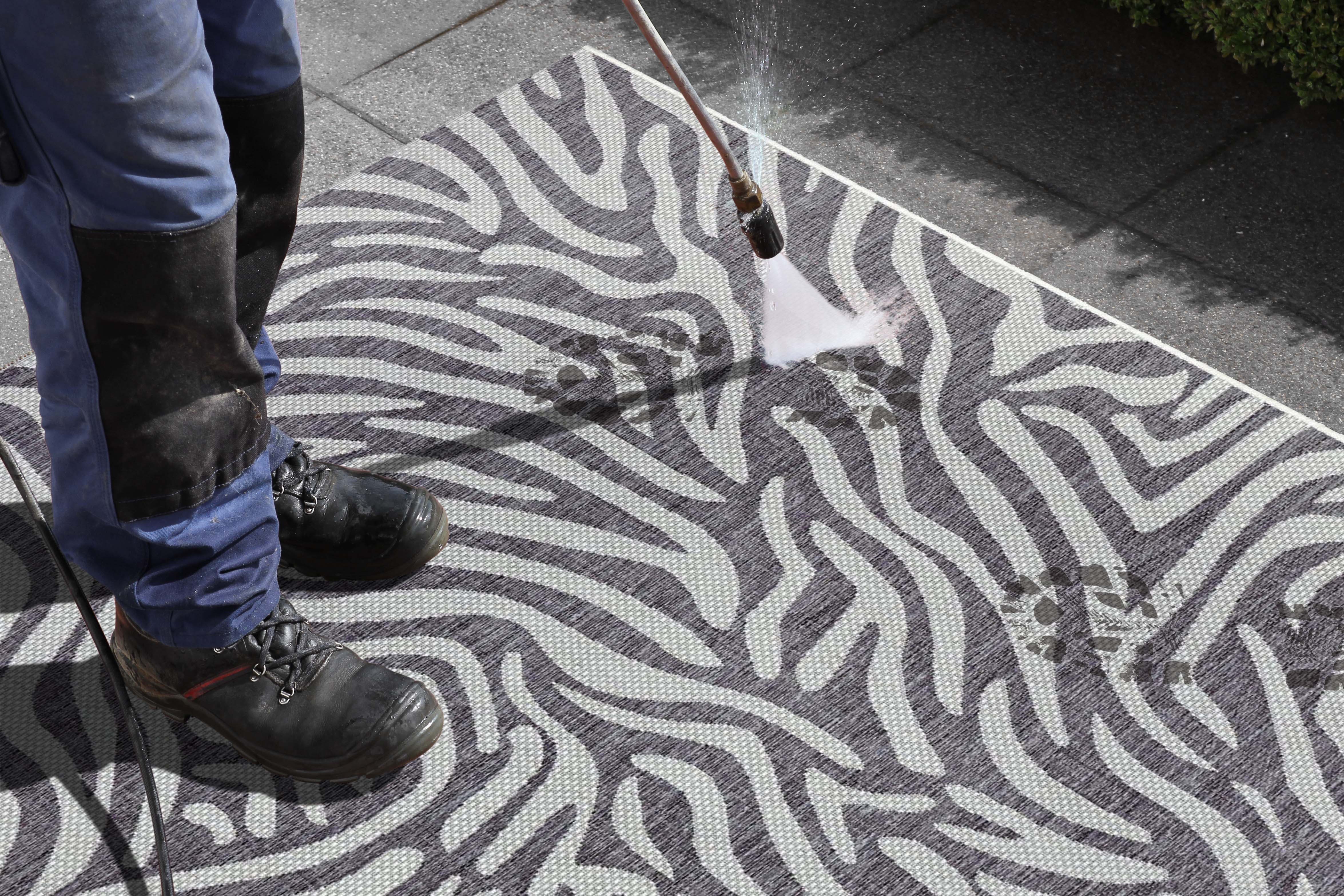 NORTHRUGS Vloerkleed Cebra Platweefsel zebradessin, afgehecht, robuust, gemakkelijk in onderhoud