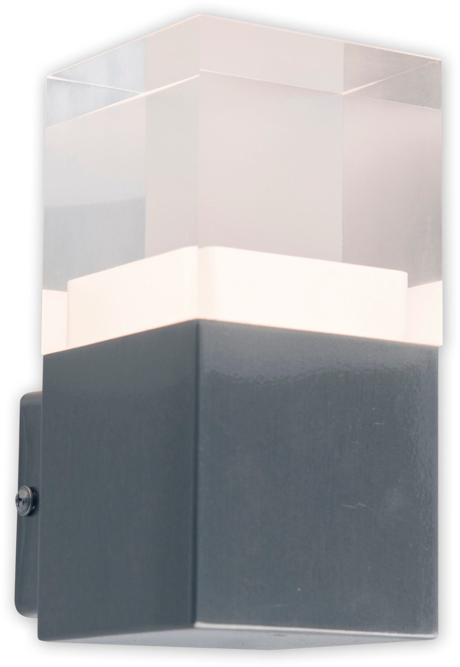 näve Ledwandlamp voor buiten Leah Roestvrij staal / kunststof in blank metaal/opaal incl. 15x led warmwit IP44 (1 stuk)