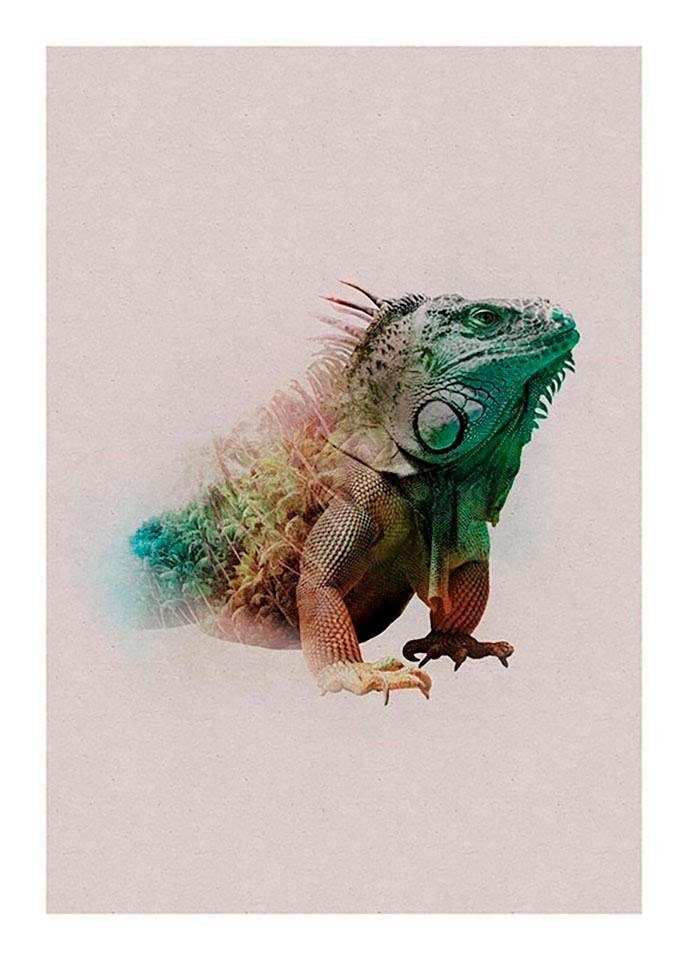 Komar Wanddecoratie Animals Paradise Iguana Wanddecoratie - zonder lijst (1 stuk)