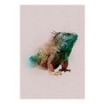 komar poster animals paradise iguana hoogte: 70 cm multicolor