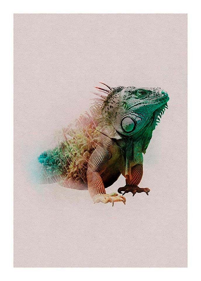 Komar Poster Animals Paradise Iguana Hoogte: 70 cm