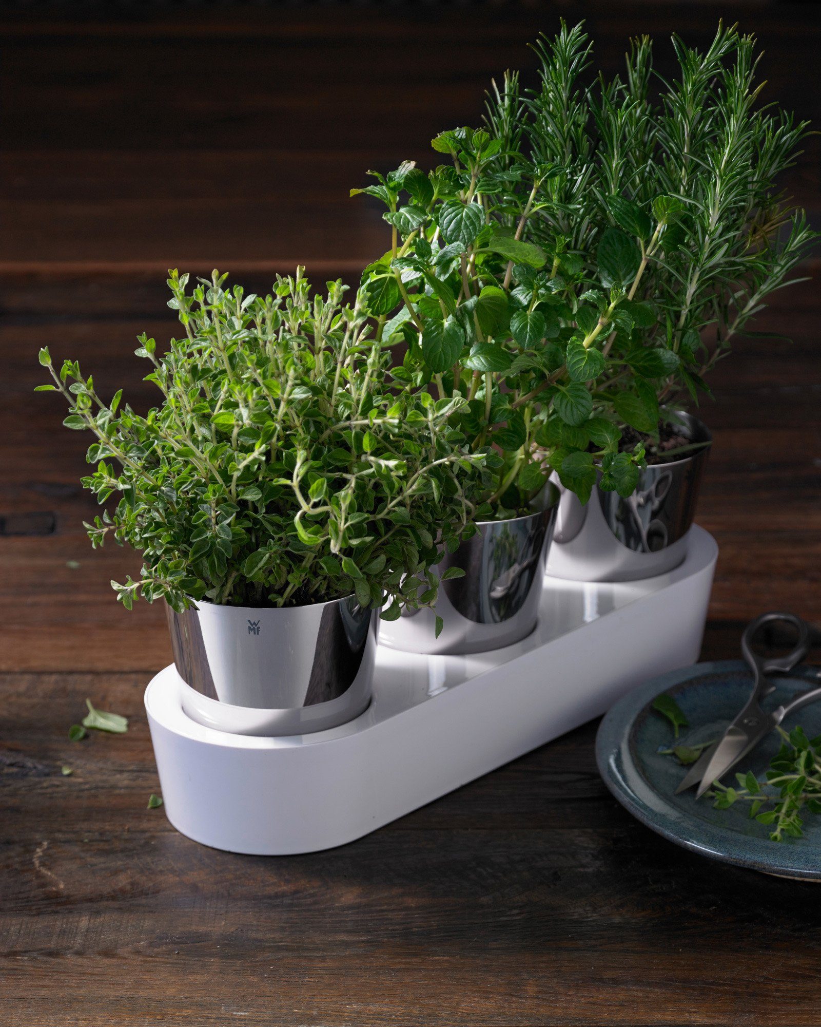 WMF Kruidenpotje met bewateringssysteem, indoor (set, 7-delig)