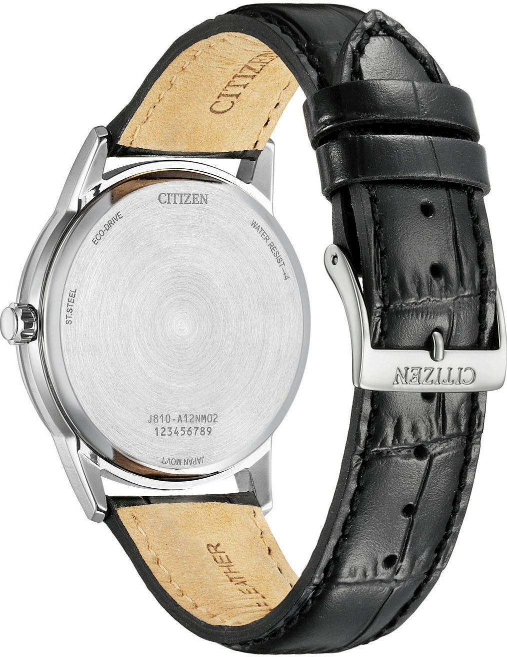 Citizen Solarhorloge Horloge, herenhorloge, leren band, analoog, dag