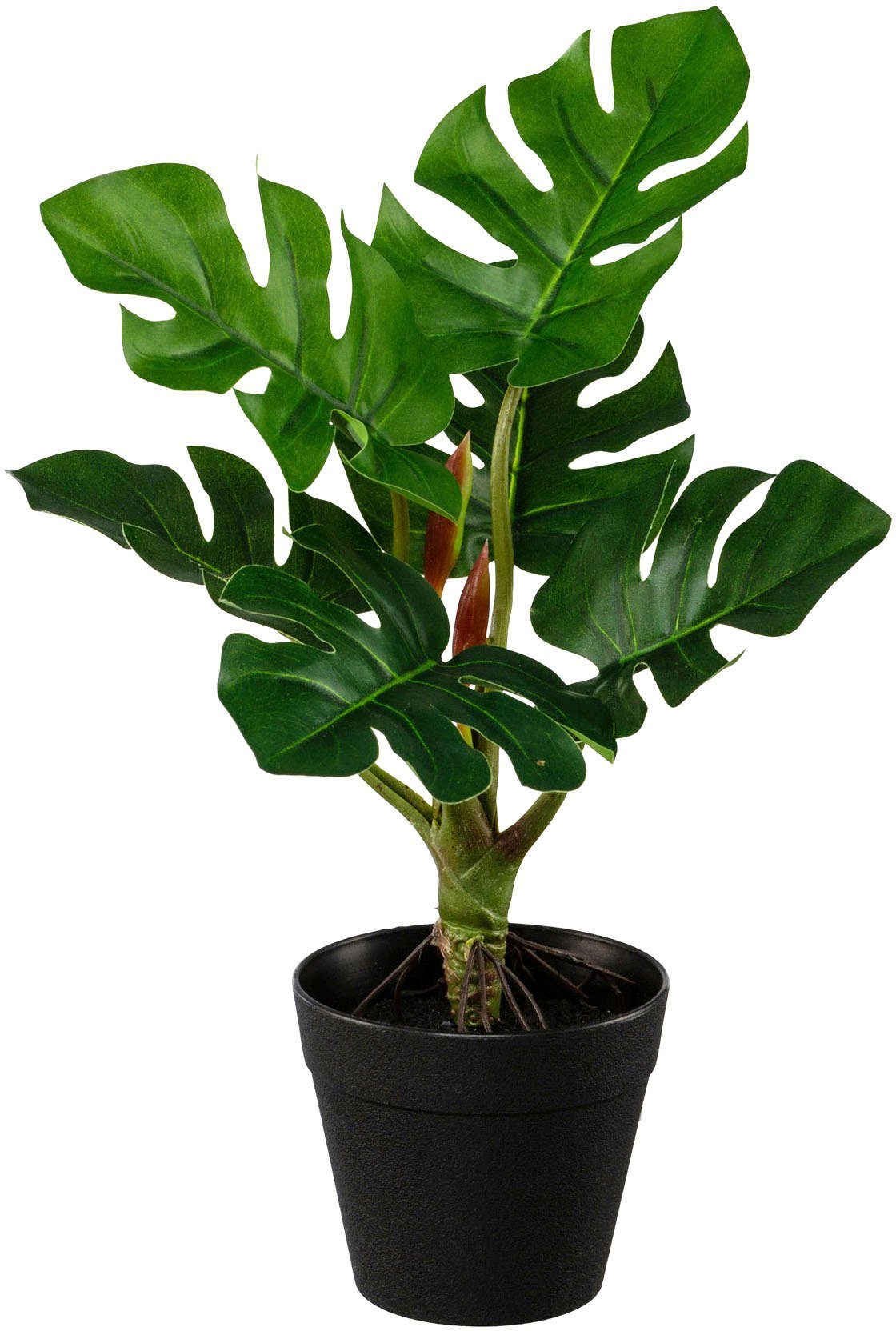 Creativ green Kunst-potplanten Set van groene planten (3 stuks)