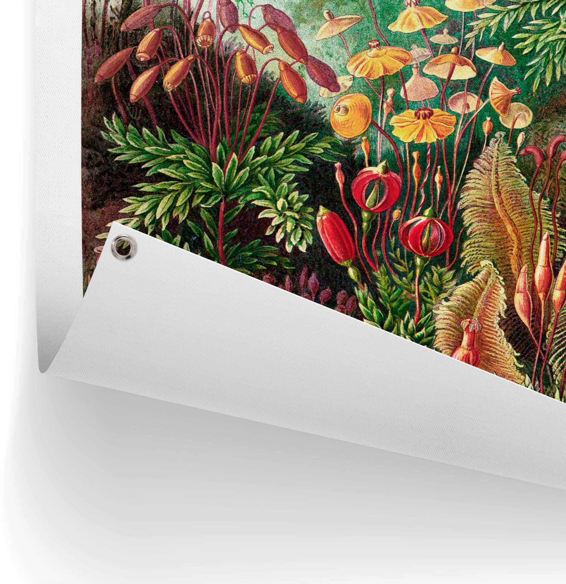 Reinders! Poster Sea Flora