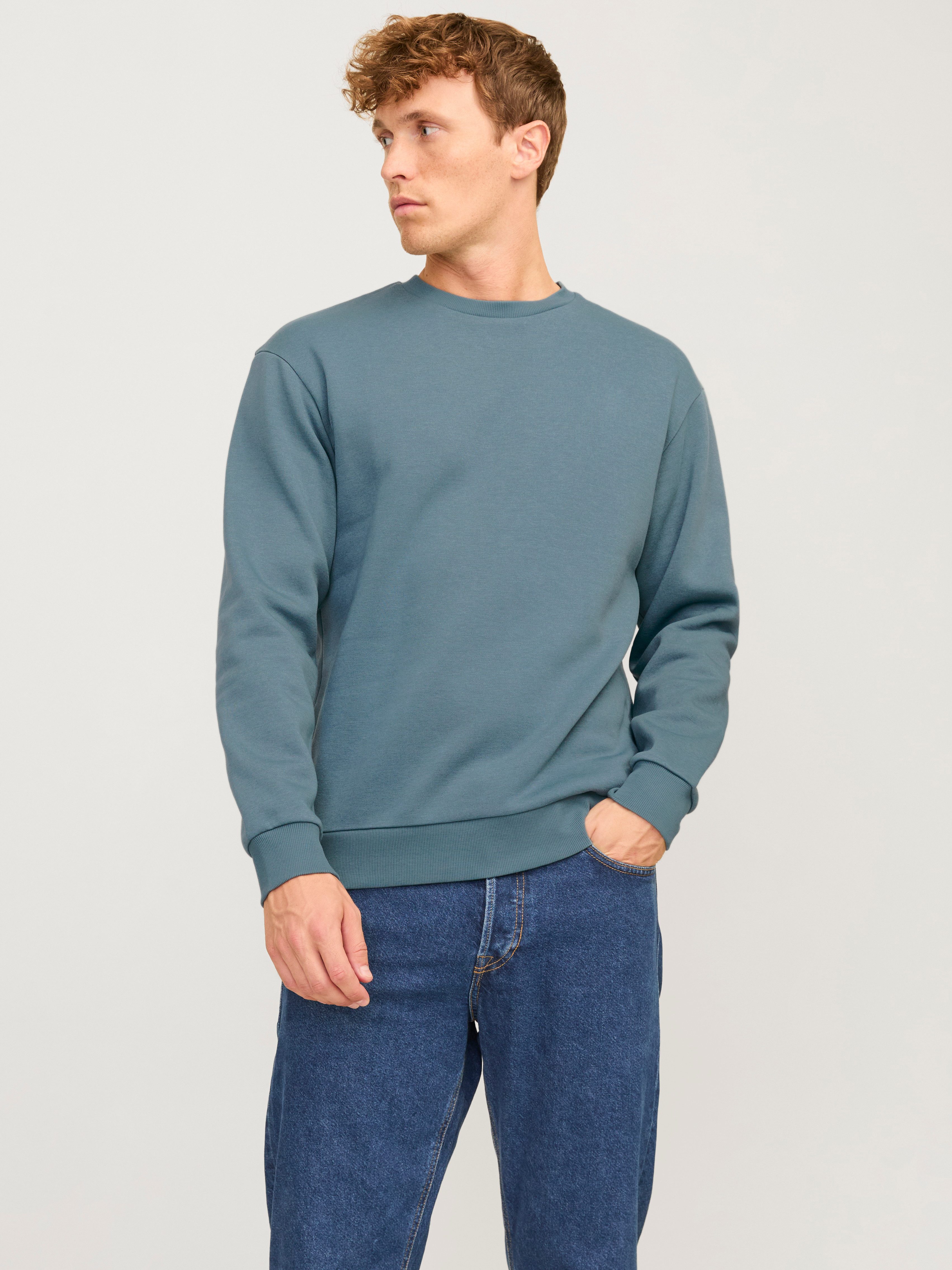 Jack & Jones Sweatshirt JJEBRADLEY SWEAT CREW NOOS