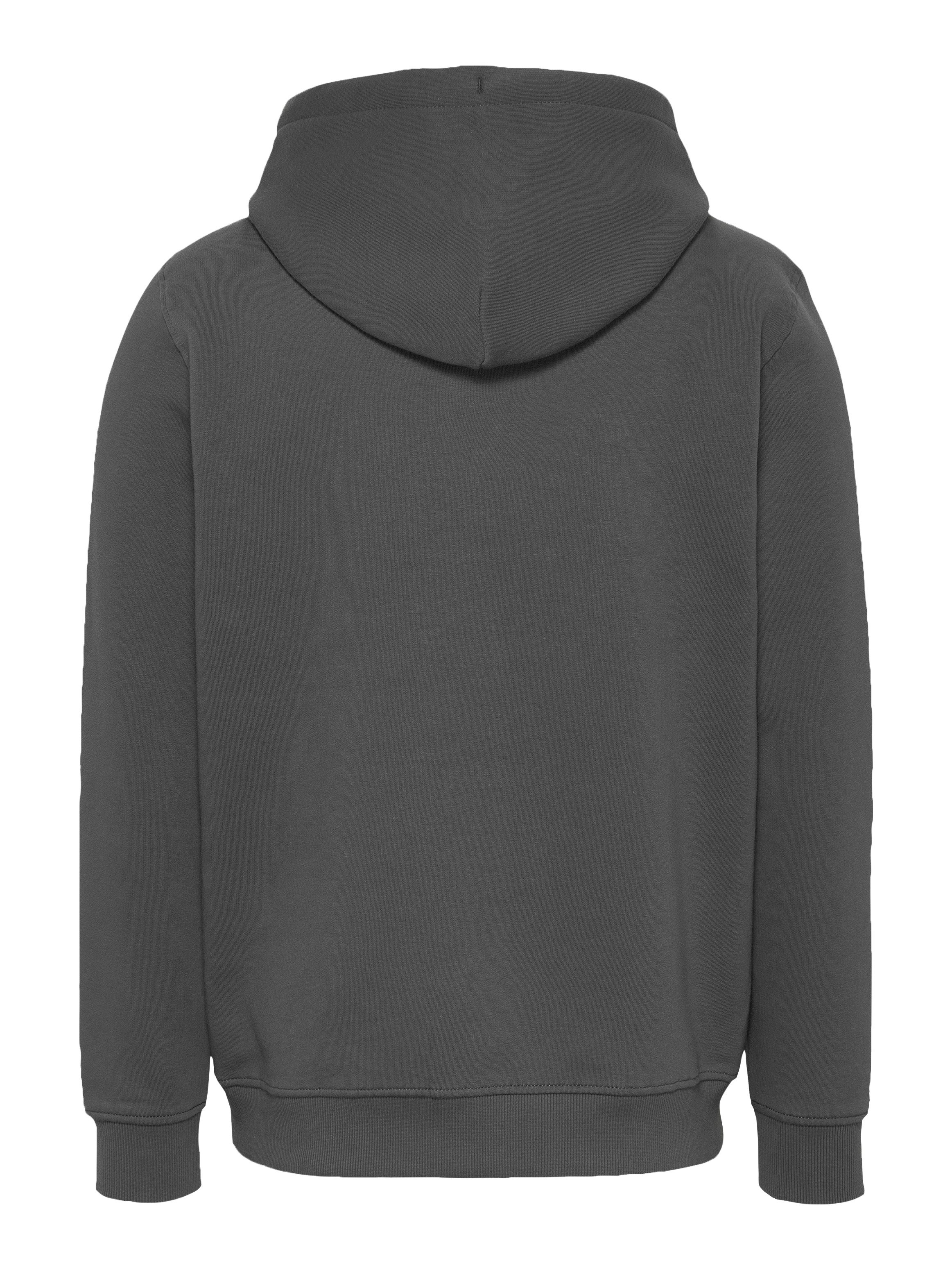 Tommy Jeans Plus Hoodie TJM REG LINEAR LOGO HOODIE EXT
