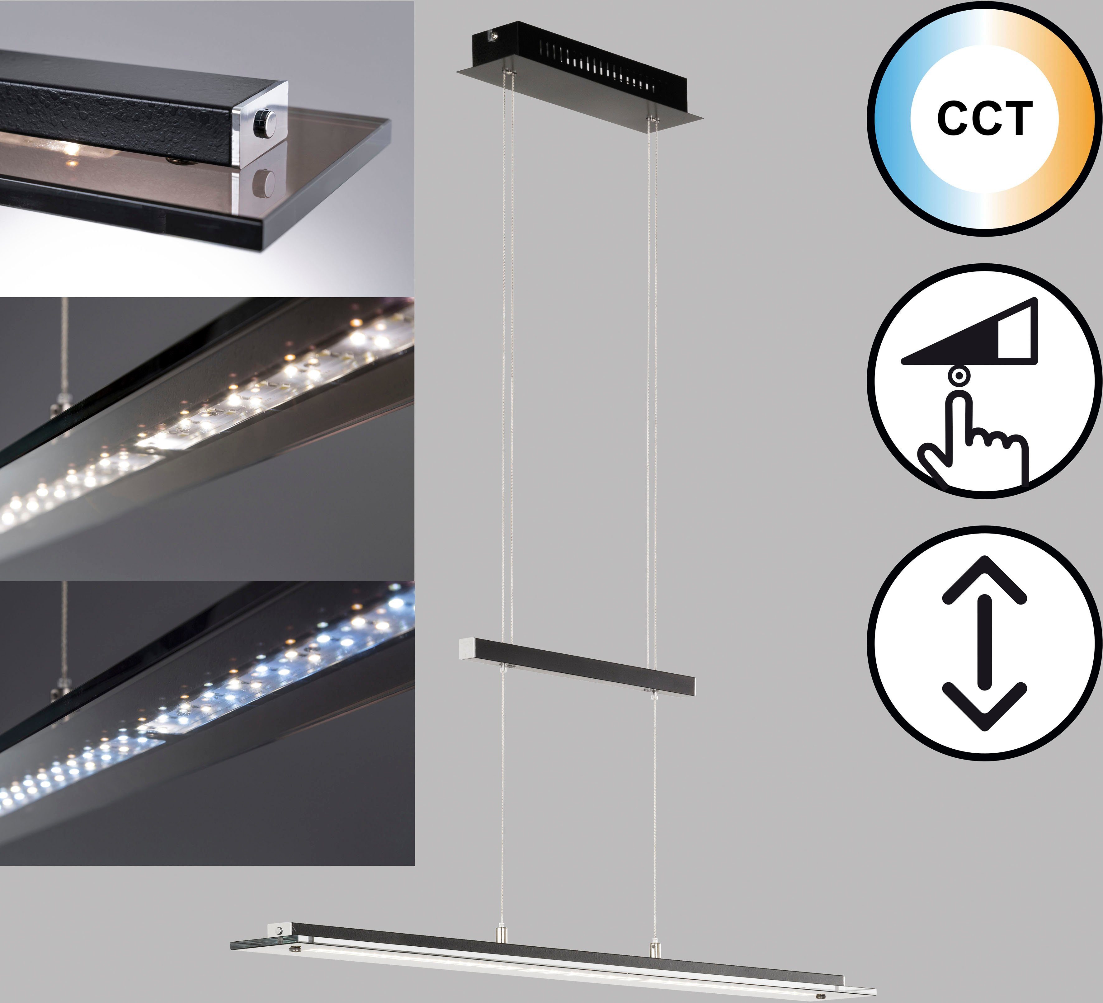 Honsel Leuchten Hanglamp Tenso duurzame led, dimbaar (1 stuk)