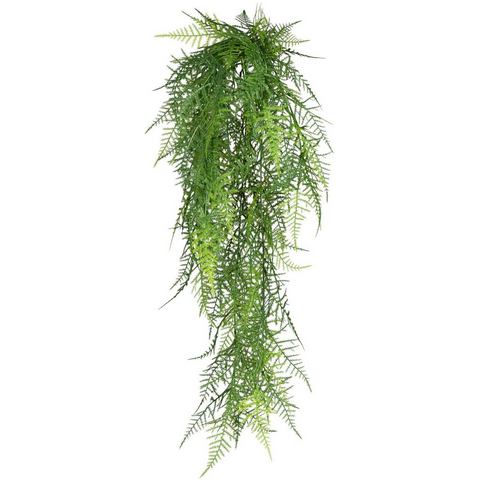 Creativ green Kunstplant Hanger Asparagus plumosus