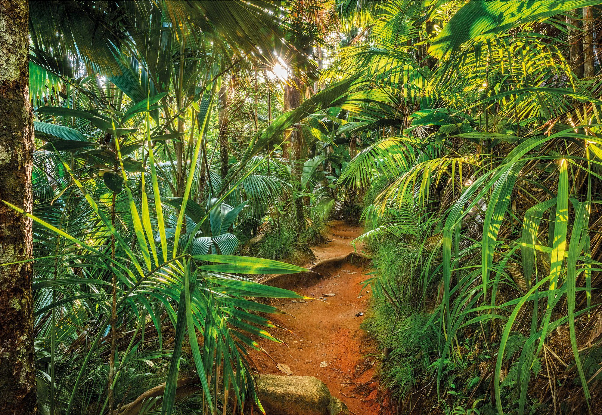 Komar Fotobehang Jungle Trail - Afmeting 368 x 254 cm (1 stuk) fotobehang multicolor