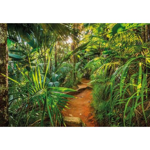 KOMAR, fotobehang, Jungle Trail, 368x254 cm