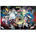 reinders! poster pokemon (1 stuk) multicolor