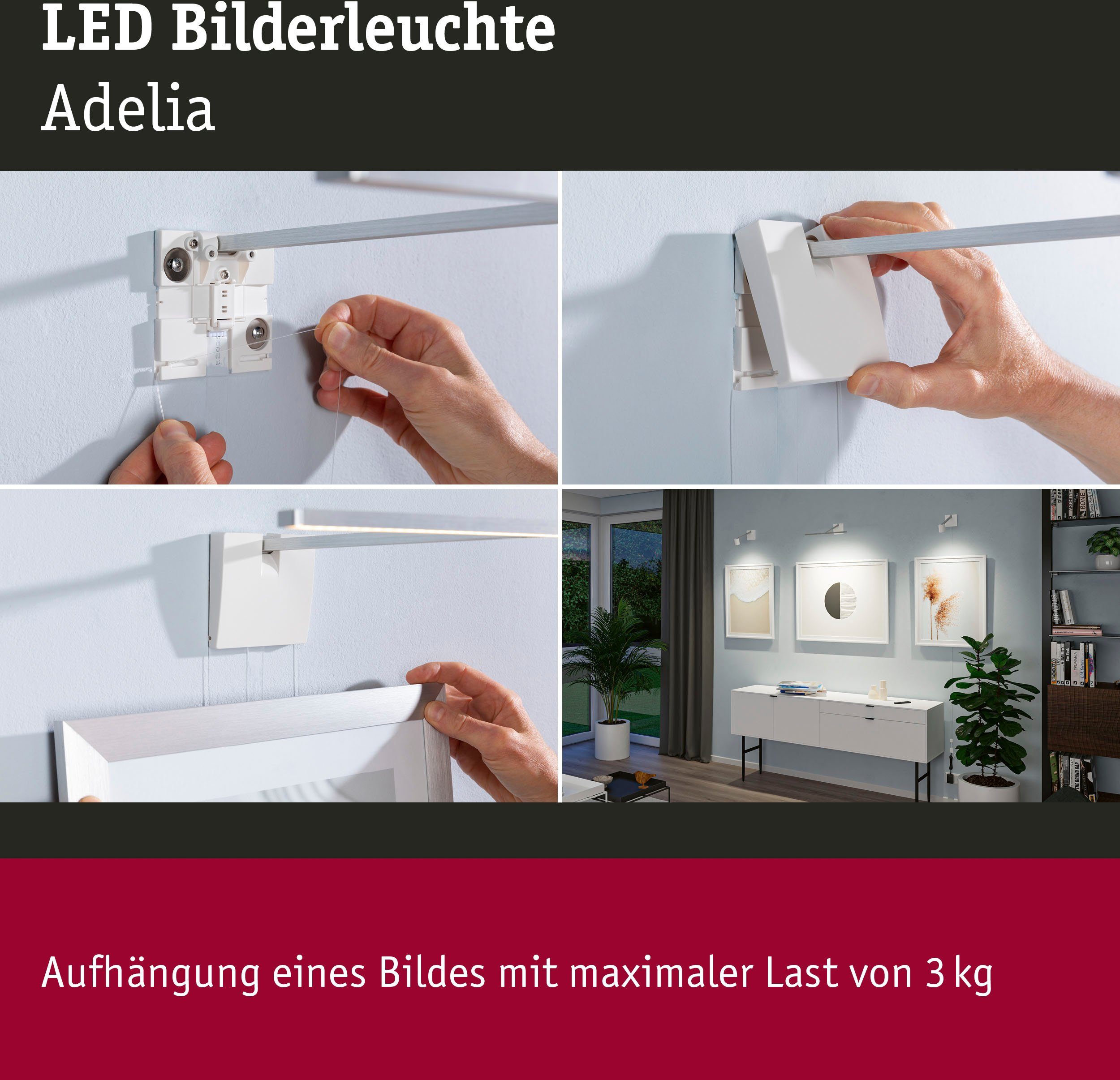 Paulmann Led-schilderijlampje Adelia dimbaar (1 stuk)