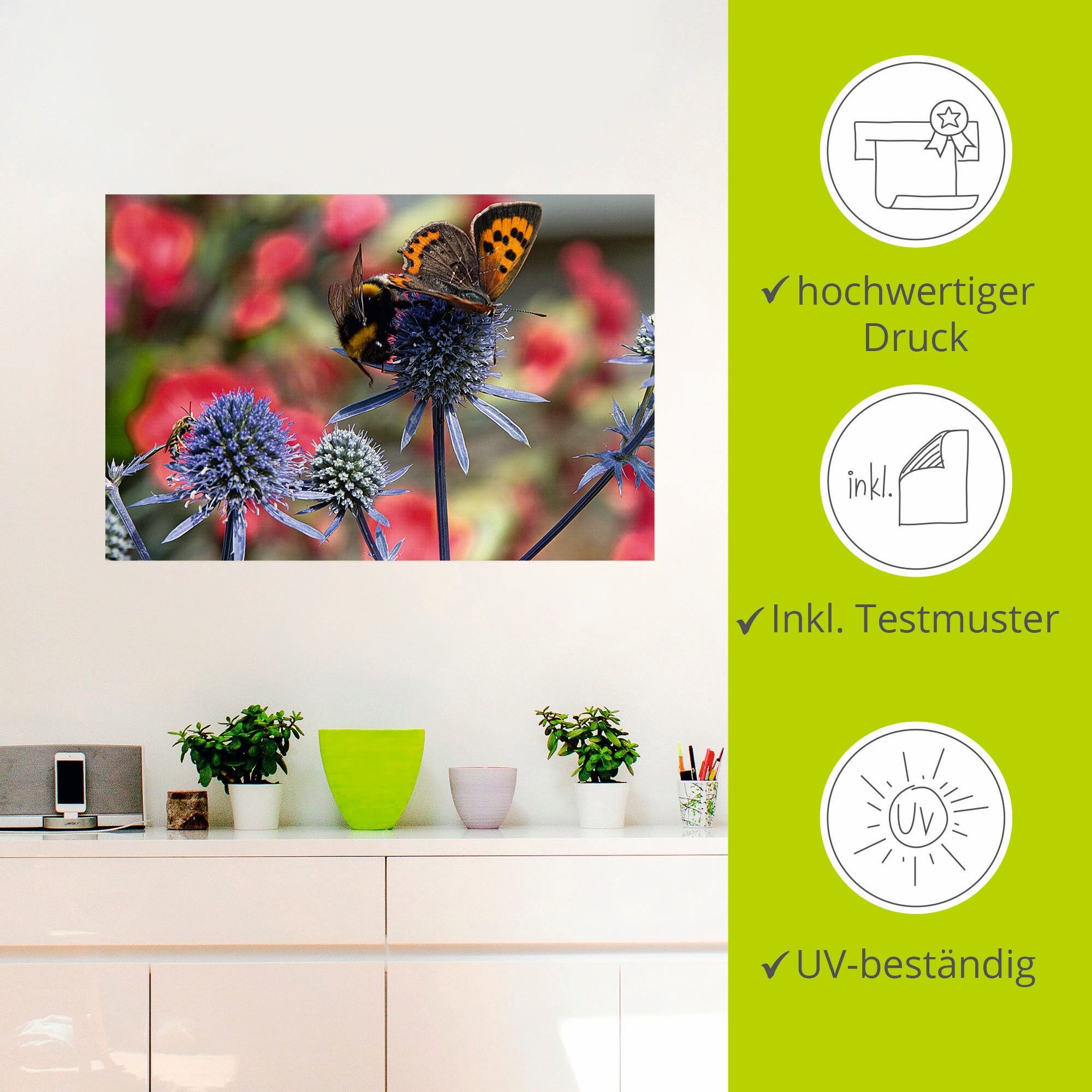 Artland Artprint Kleine vuurvlinder en hommel als artprint van aluminium, artprint op linnen, muursticker, verschillende maten