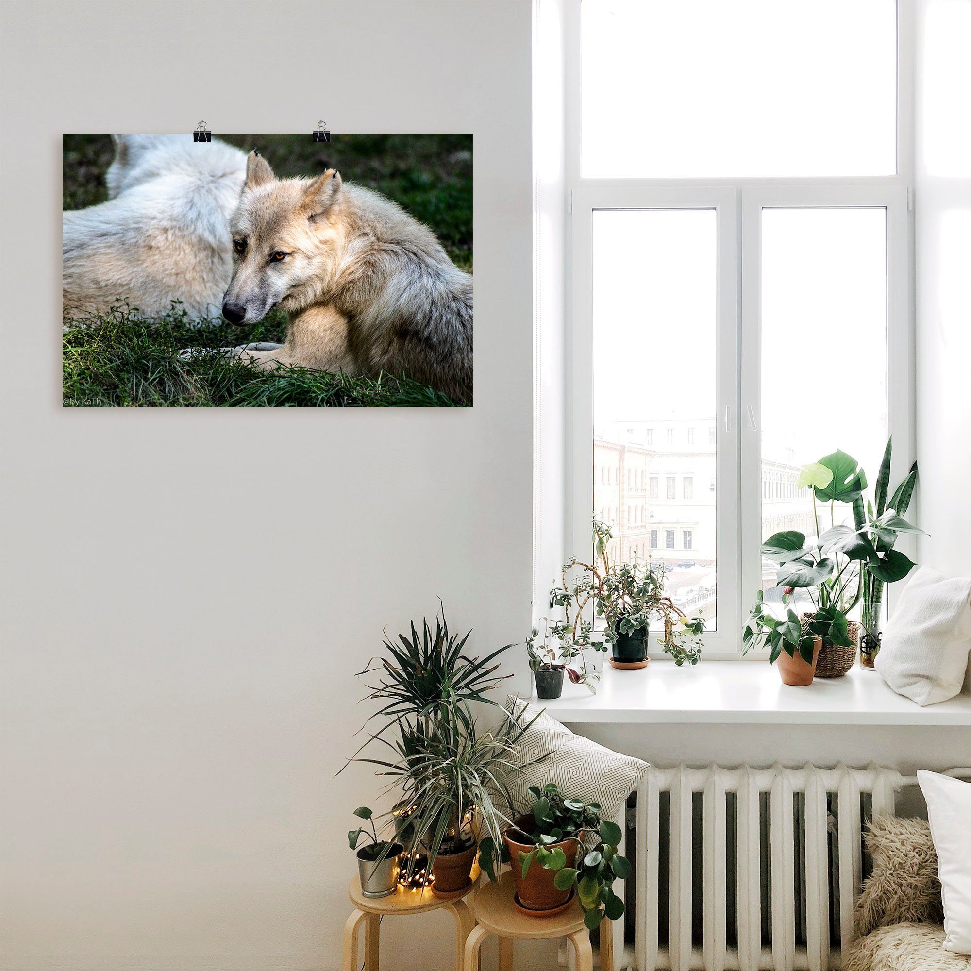 Artland Artprint Wolf II als artprint van aluminium, artprint op linnen, muursticker of poster in verschillende maten