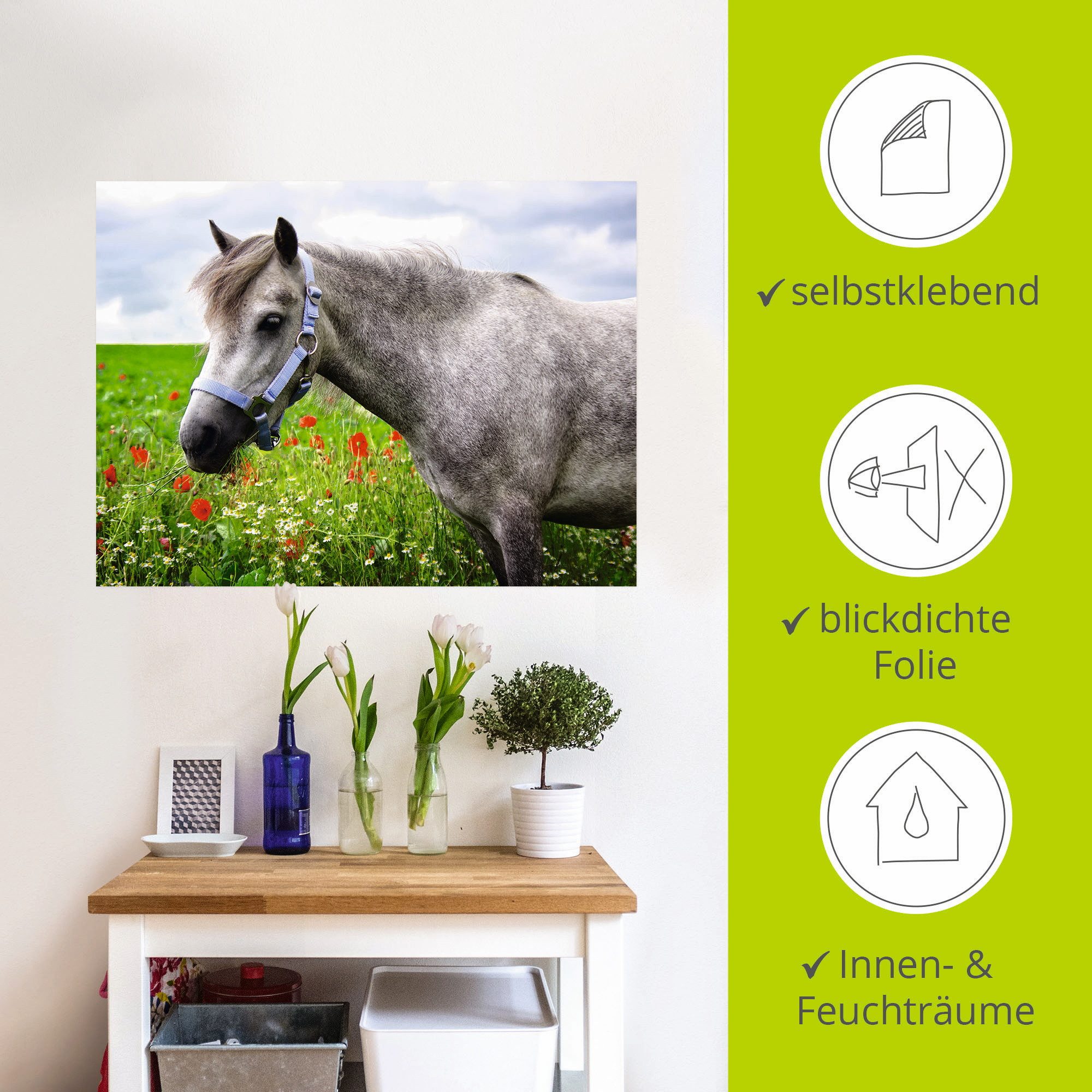 Artland Artprint Welshpony als artprint op linnen, muursticker in verschillende maten