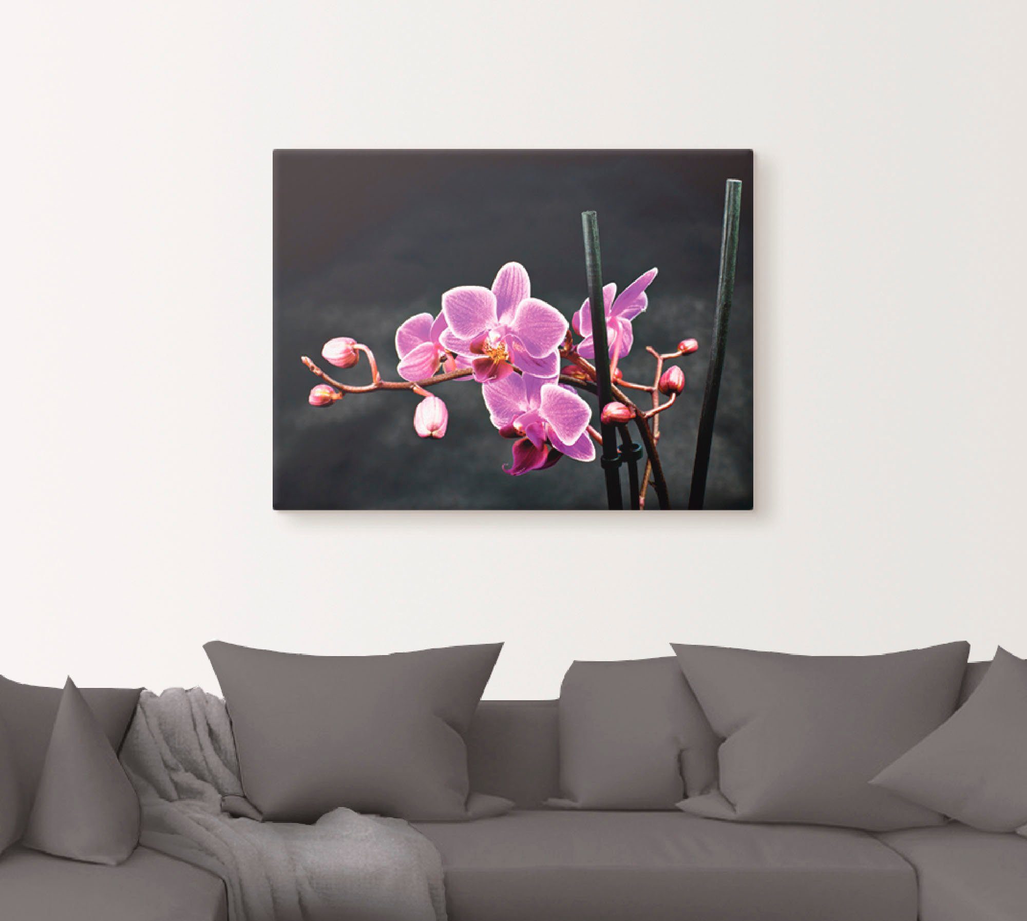 Artland Artprint Een orchidee voor een zwarte achtergrond als artprint op linnen, poster, muursticker in verschillende maten