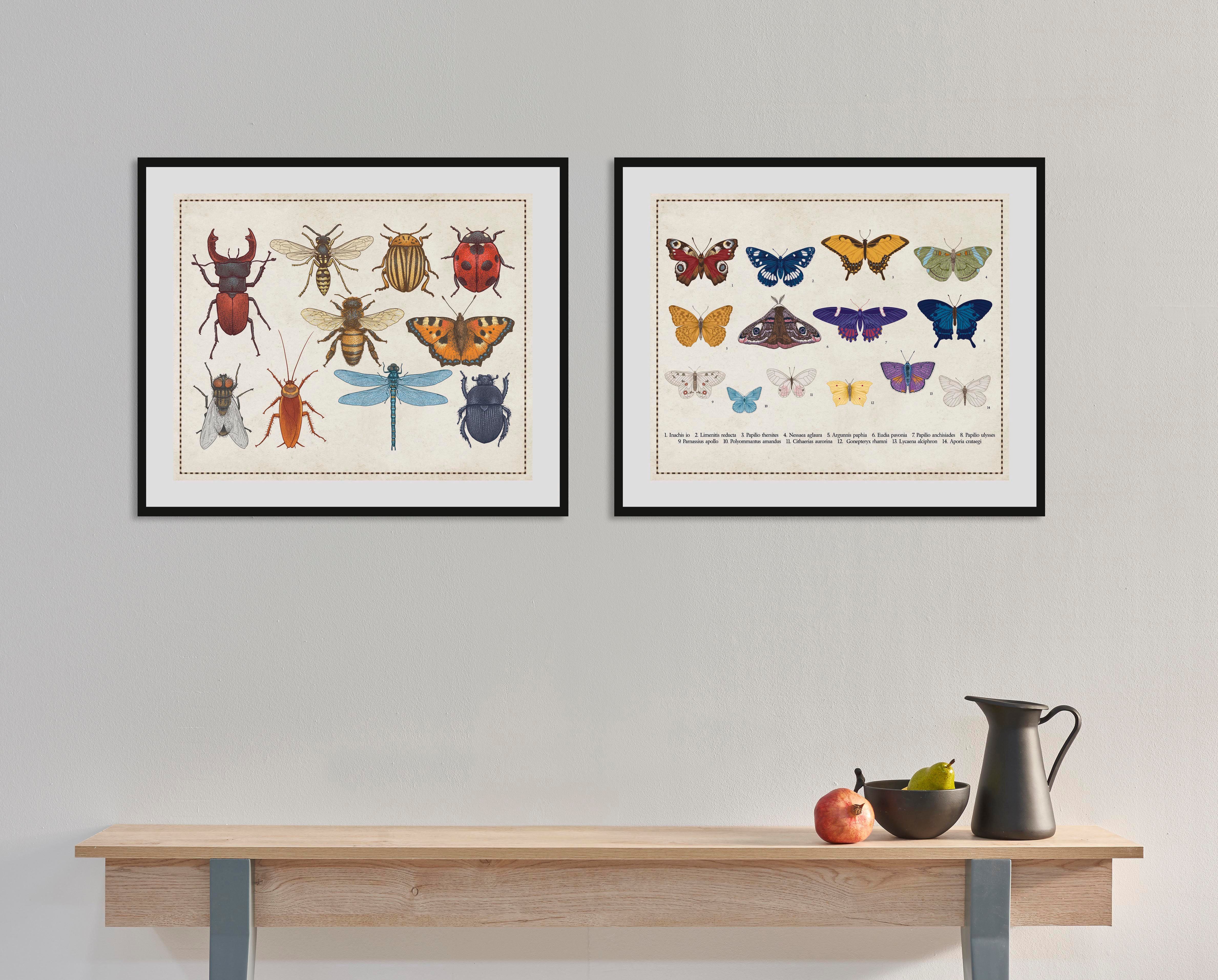 queence Wanddecoratie A Bug's Life HD premium posterdruk incl. houten lijst (1 stuk) schilderijen maat 70 cm x 50 cm multicolor