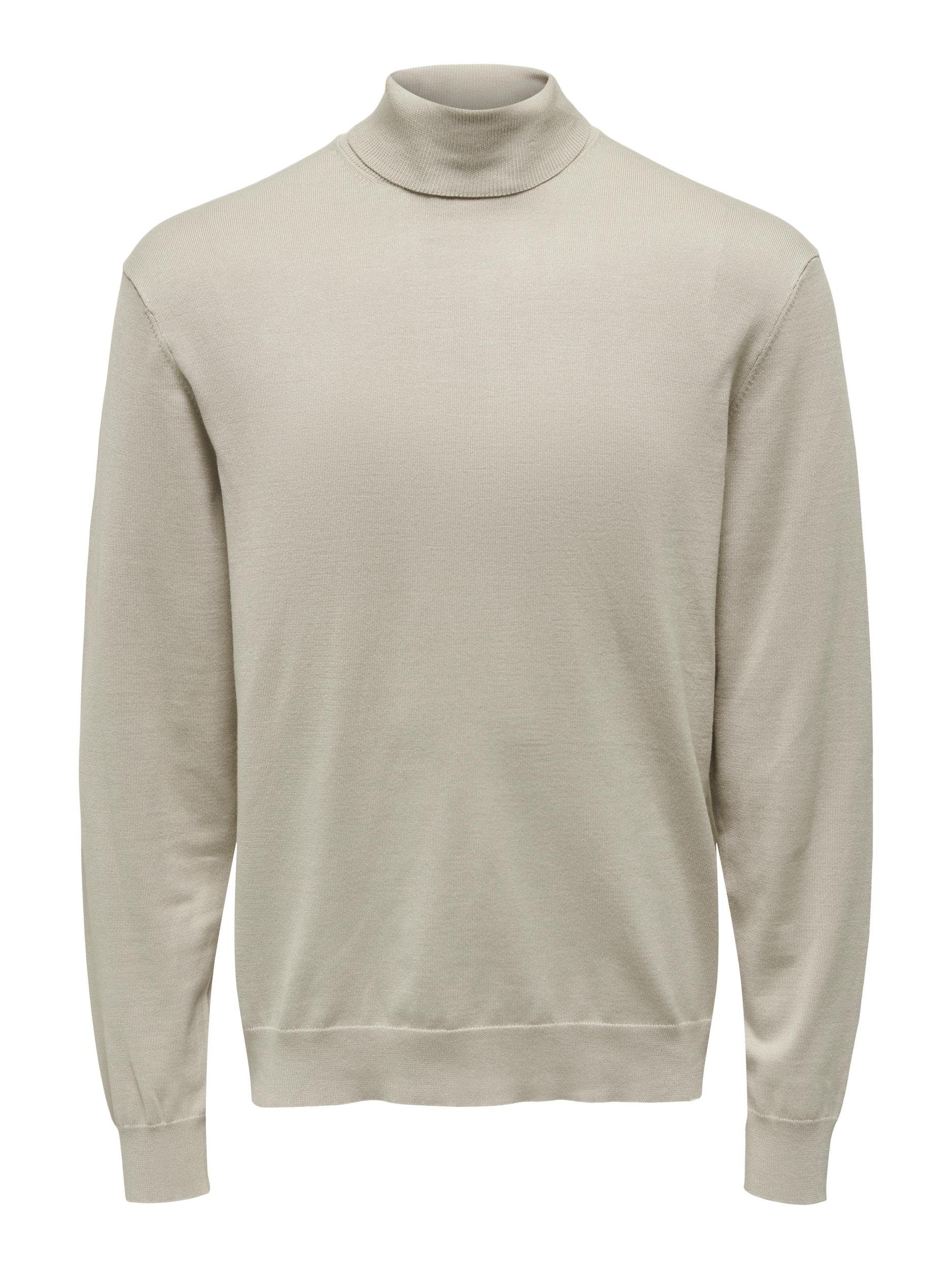 ONLY & SONS Coltrui ONSWYLER LIFE REG ROLL NECK KNIT NOOS