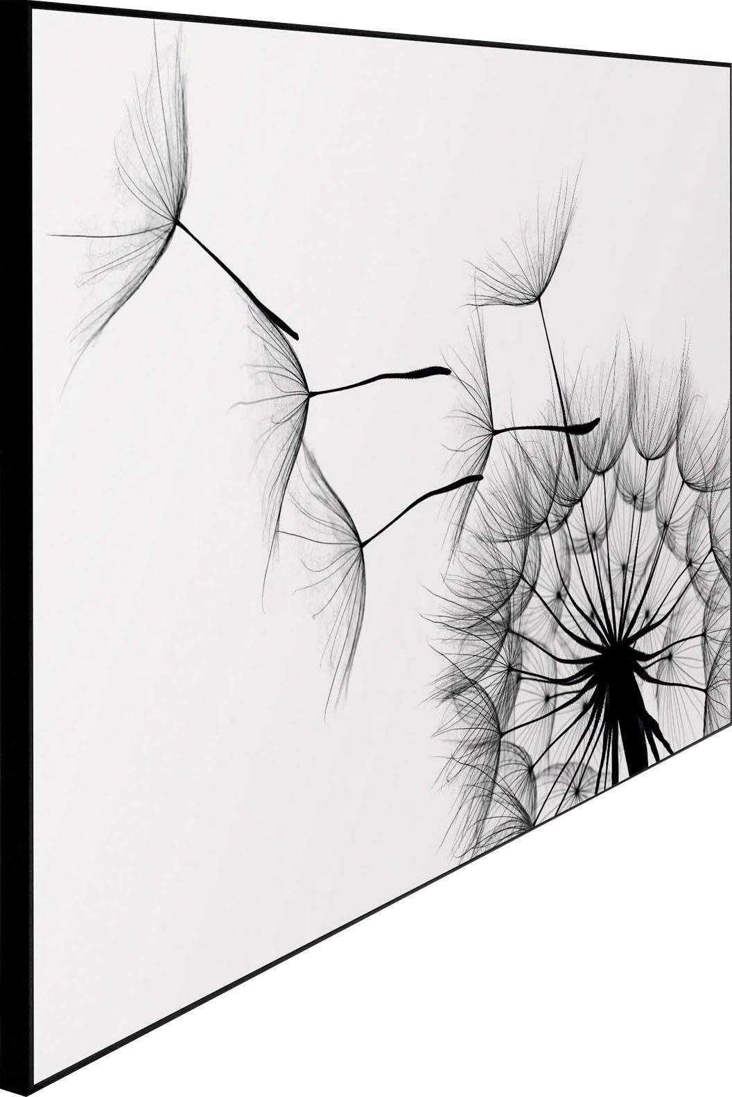 Reinders! Artprint Slim Frame Black 50x70 Dandelion