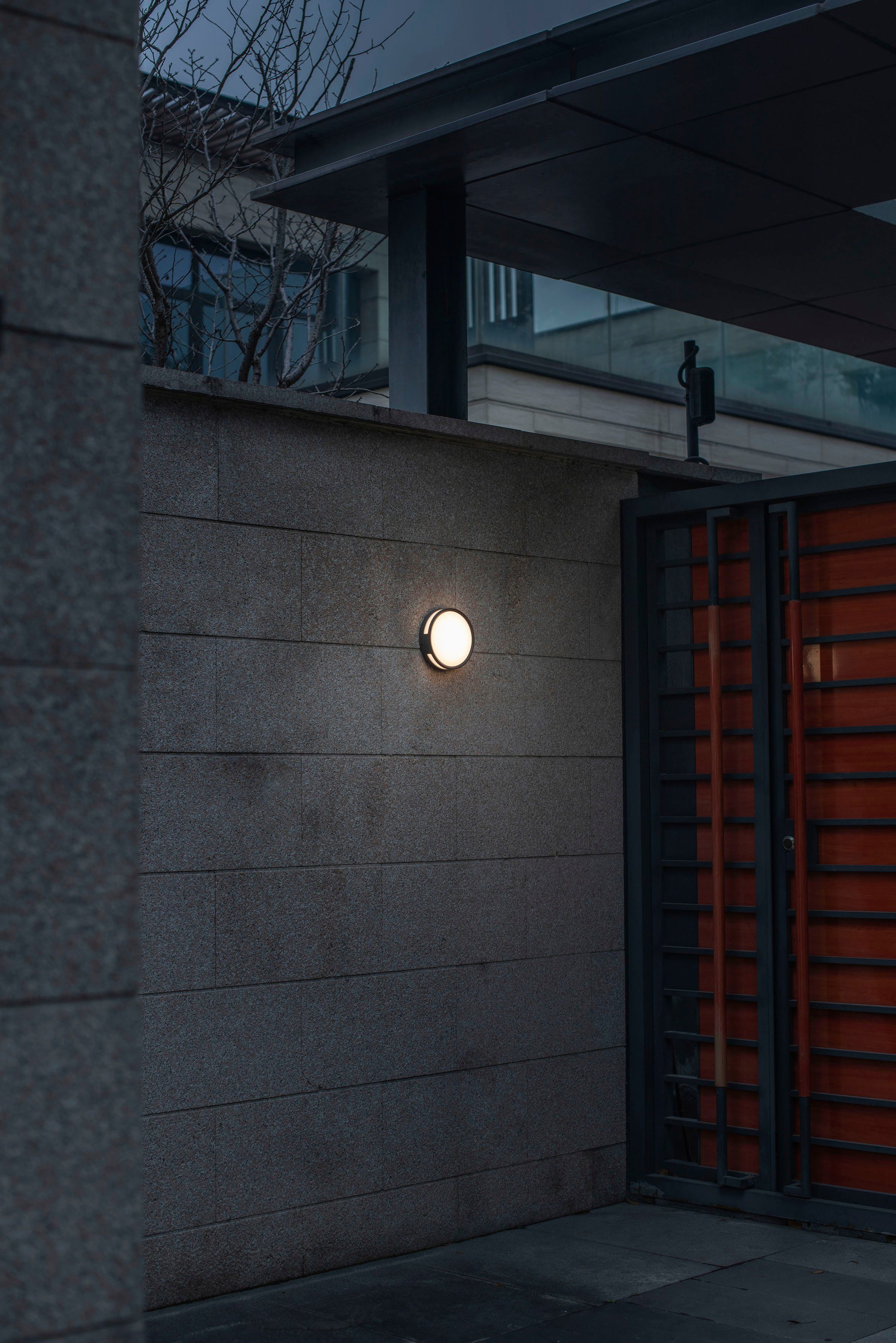 LUTEC Ledwandlamp voor buiten ROLA (1 stuk)