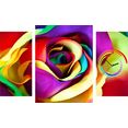 conni oberkircher´s beeld met klok colour roos - veelkleurige roos met decoratieve klok, popart, multicolour (set) multicolor