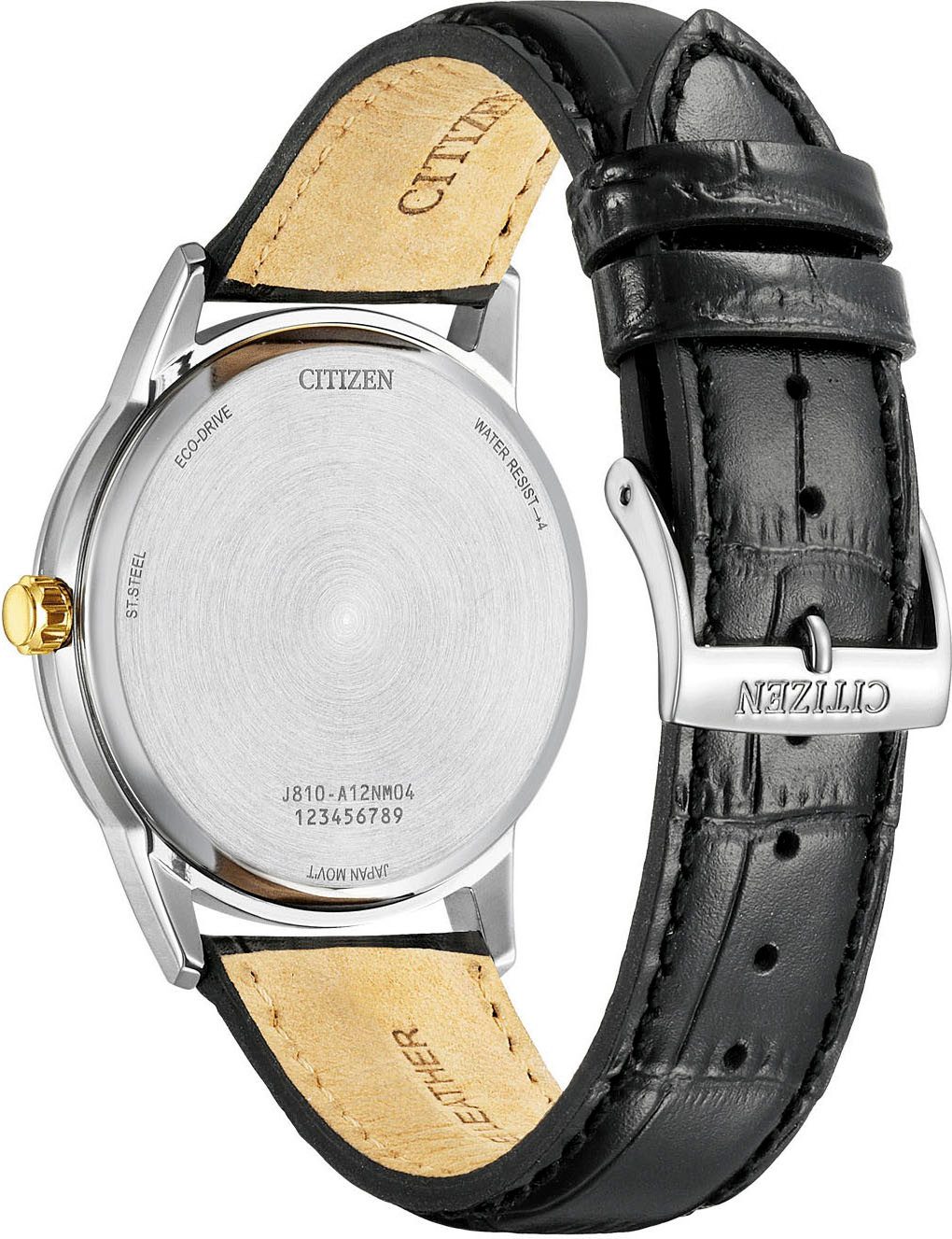 Citizen Solarhorloge Horloge, herenhorloge, leren band, analoog, dag