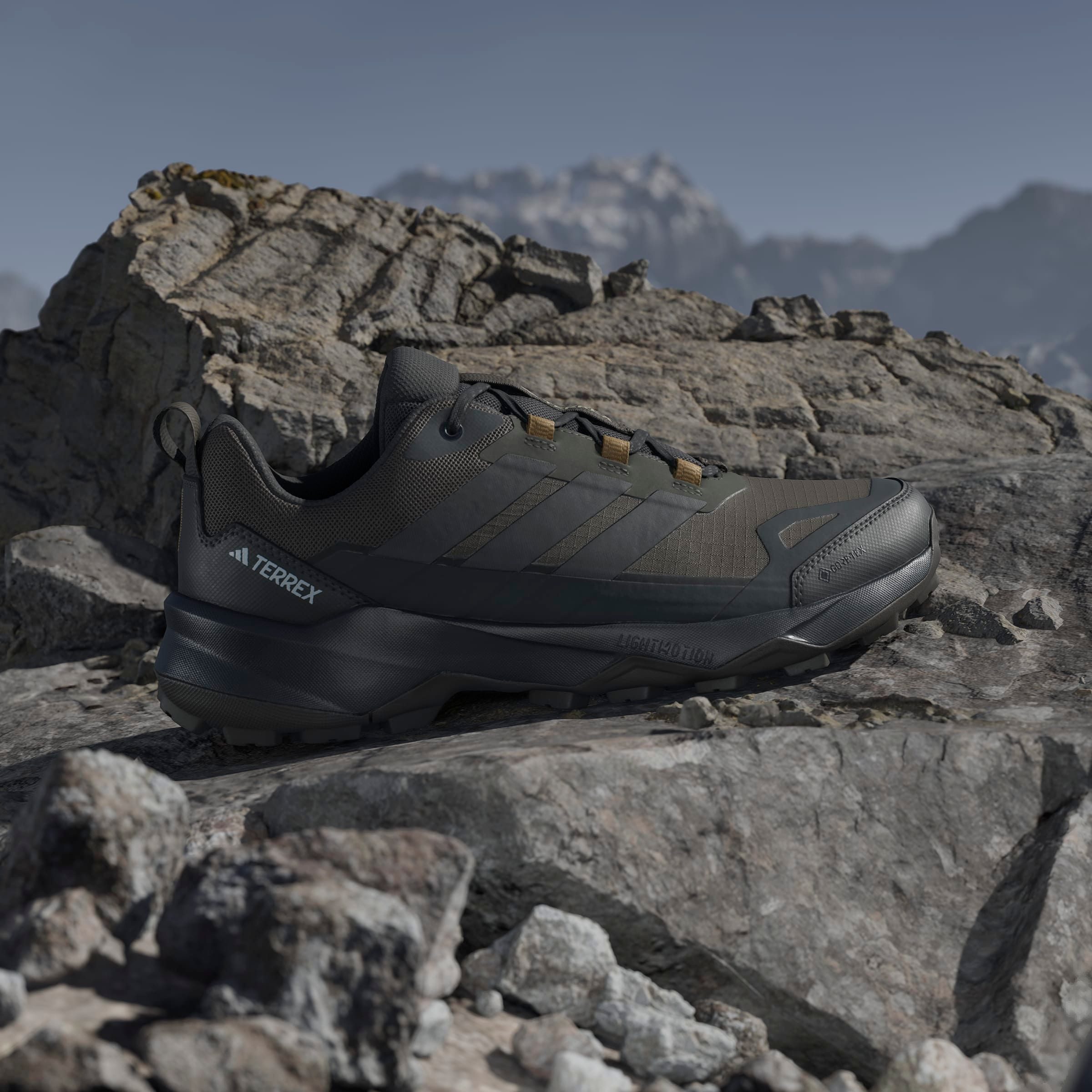 adidas TERREX Wandelschoenen TERREX SKYCHASER AX5 GORE-TEX E