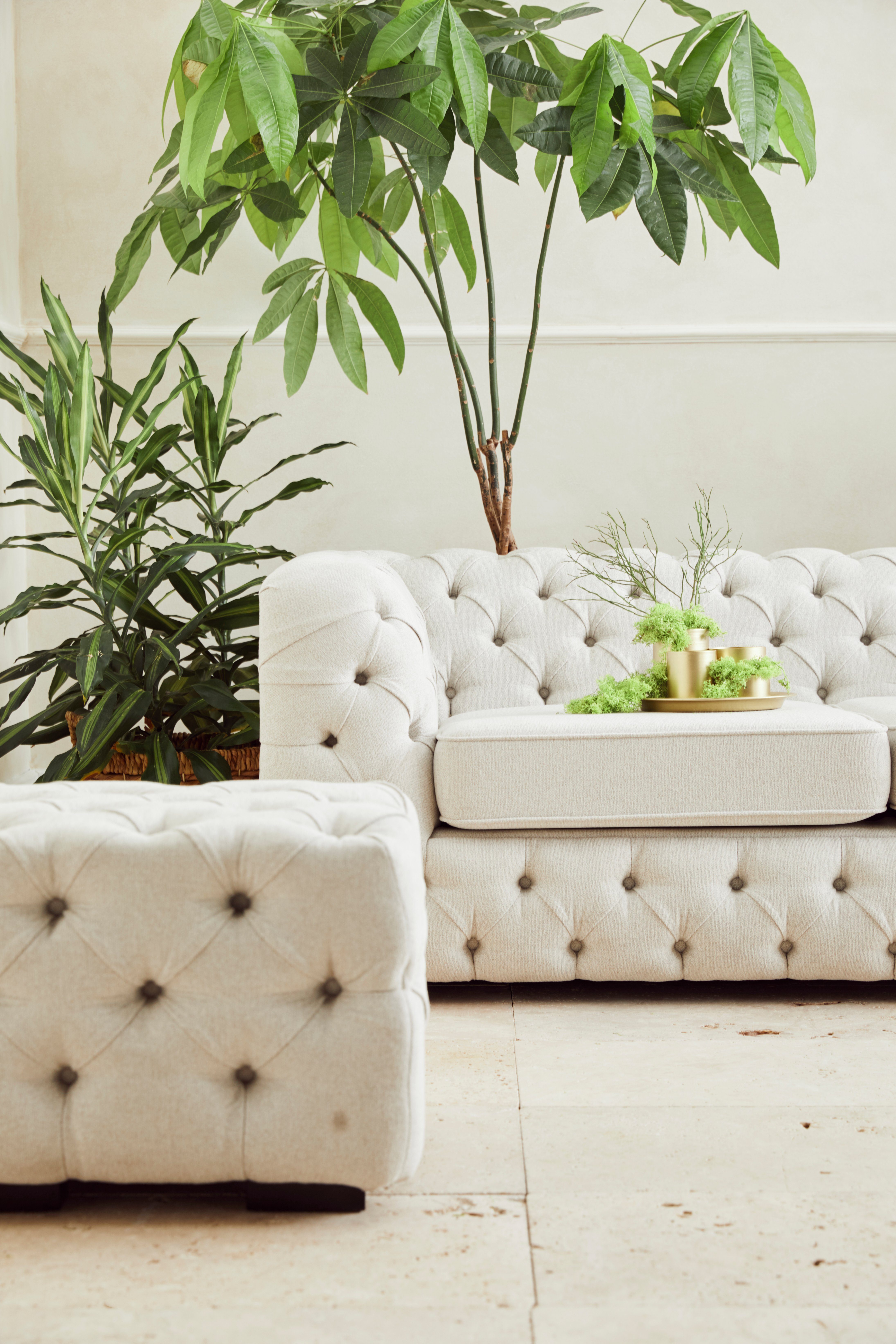 Guido Maria Kretschmer Home&Living Chesterfield-bank Kalina met klassieke chesterfield-capitonnage