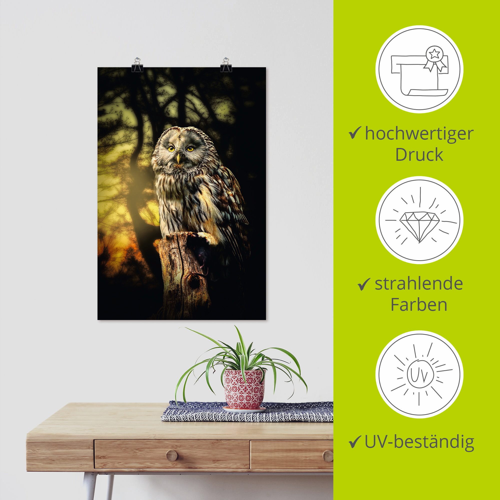 Artland Artprint Uil als artprint van aluminium, artprint voor buiten, artprint op linnen, poster in verschillende maten. maten