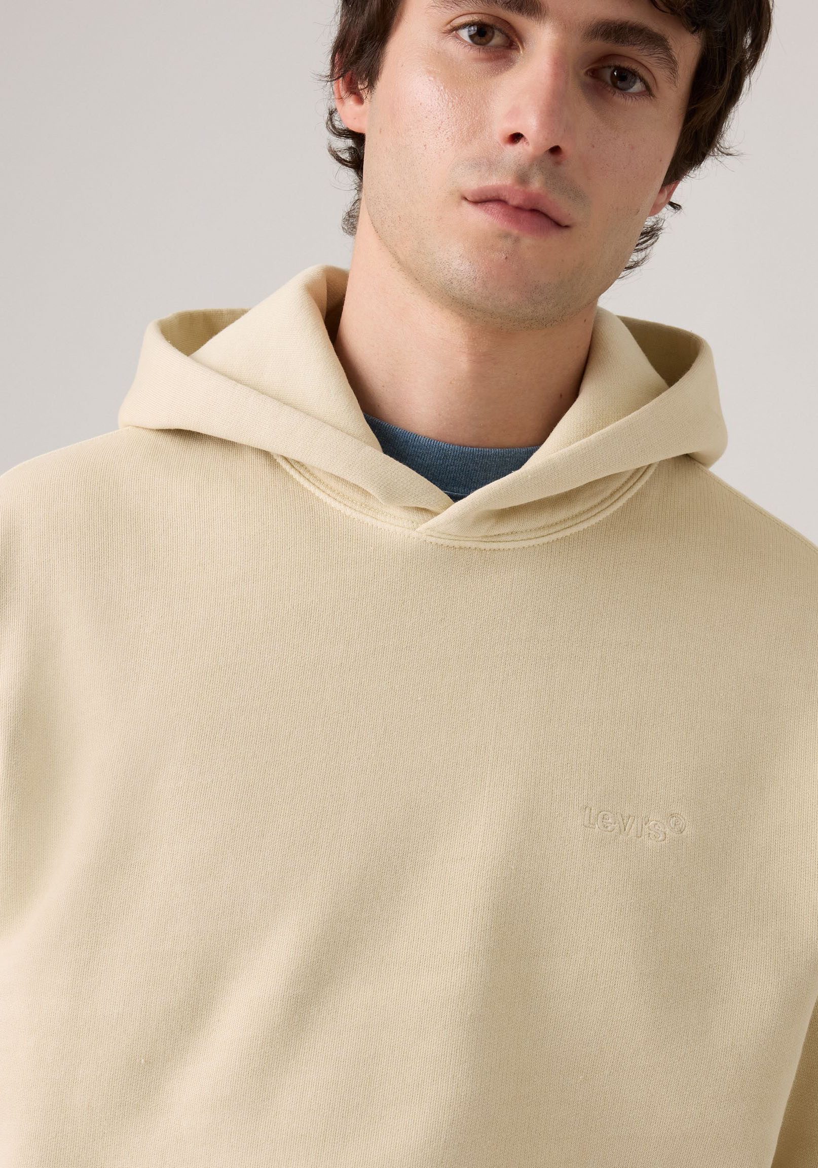 Levi's® Hoodie THE AUTHENTIC HOODIE met kleine ton-sur-ton logo-borduursel op de borst