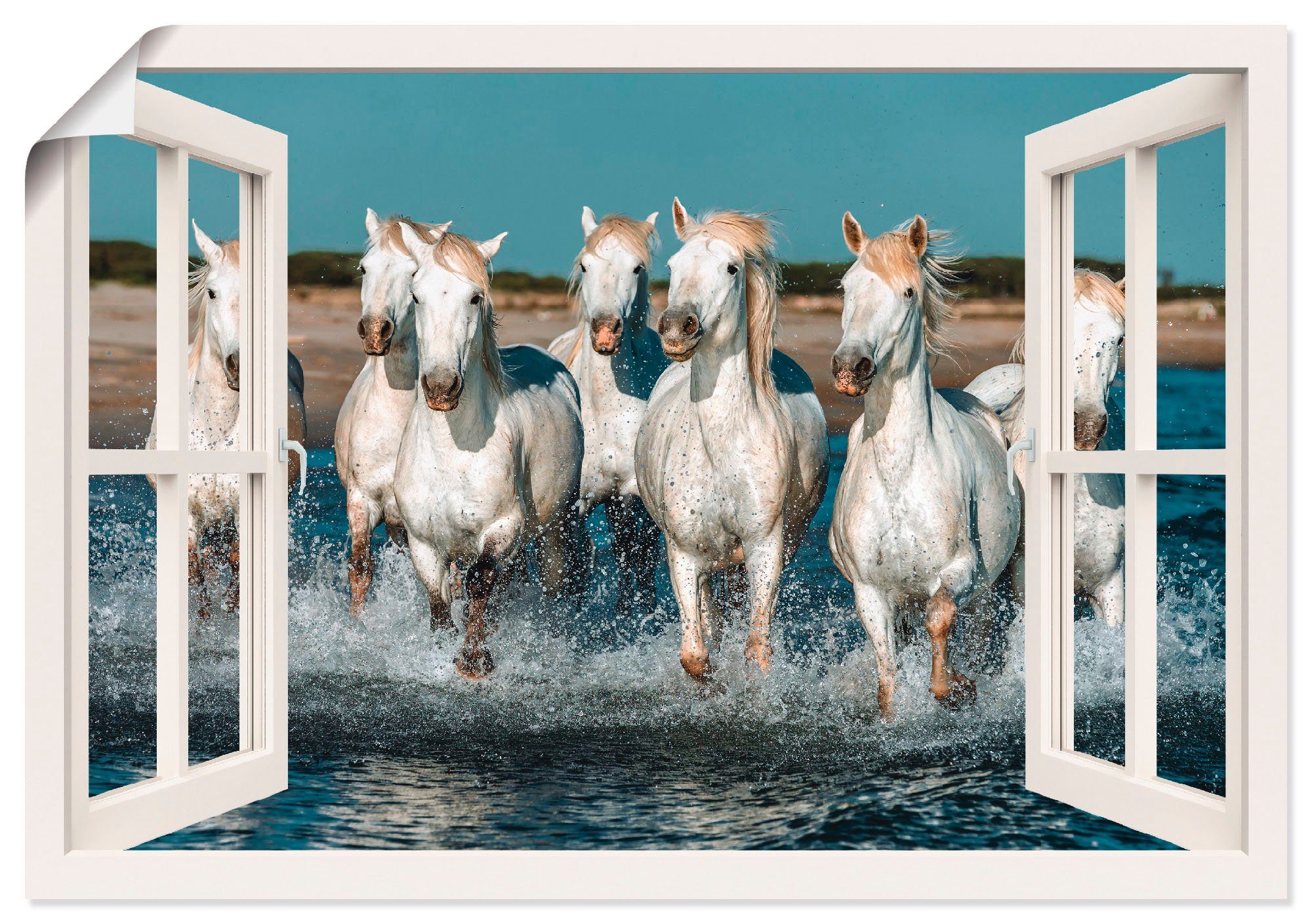 Artland Poster Blik uit het venster paarden op het strand als artprint van aluminium, artprint op linnen, muursticker of poster in verschillende maten