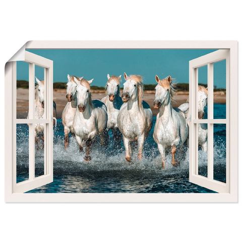 Artland artprint Fensterblick Pferde am Strand